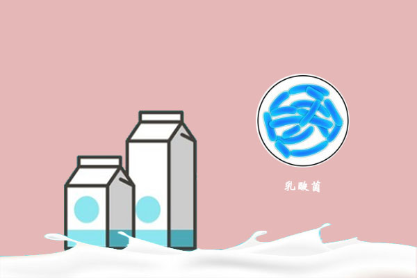 微生物发酵2.jpg