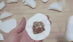微信图片_20210206153233.gif