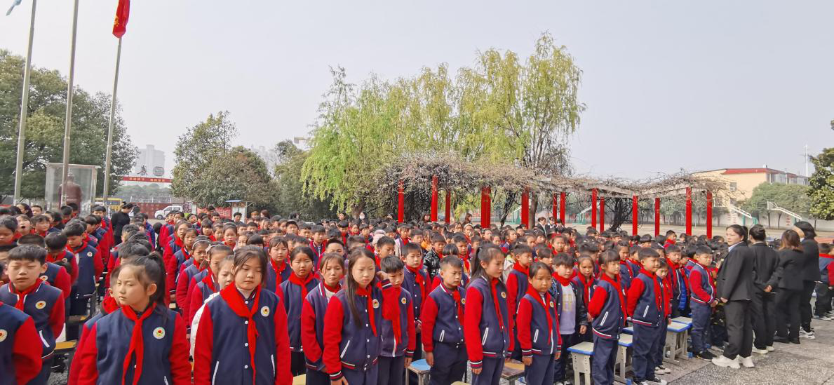 图片11.png