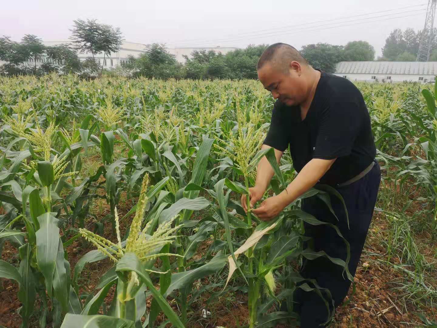 微信图片_20210622113429.jpg