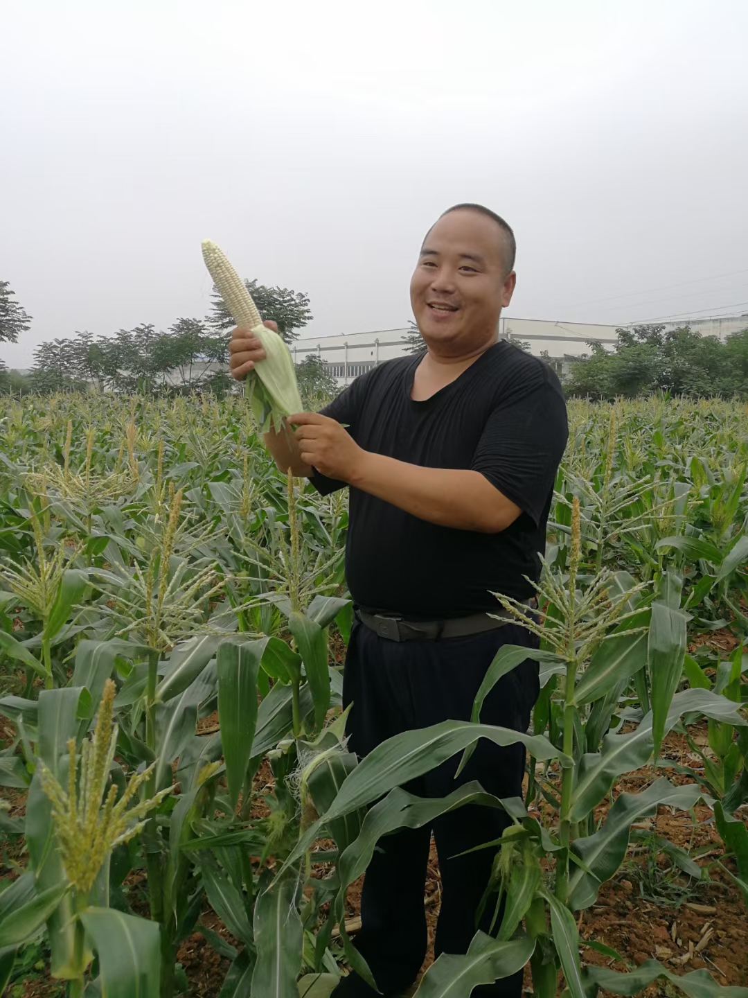 微信图片_20210622113518.jpg