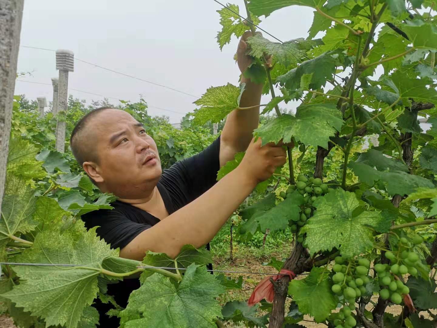 微信图片_20210622113510.jpg