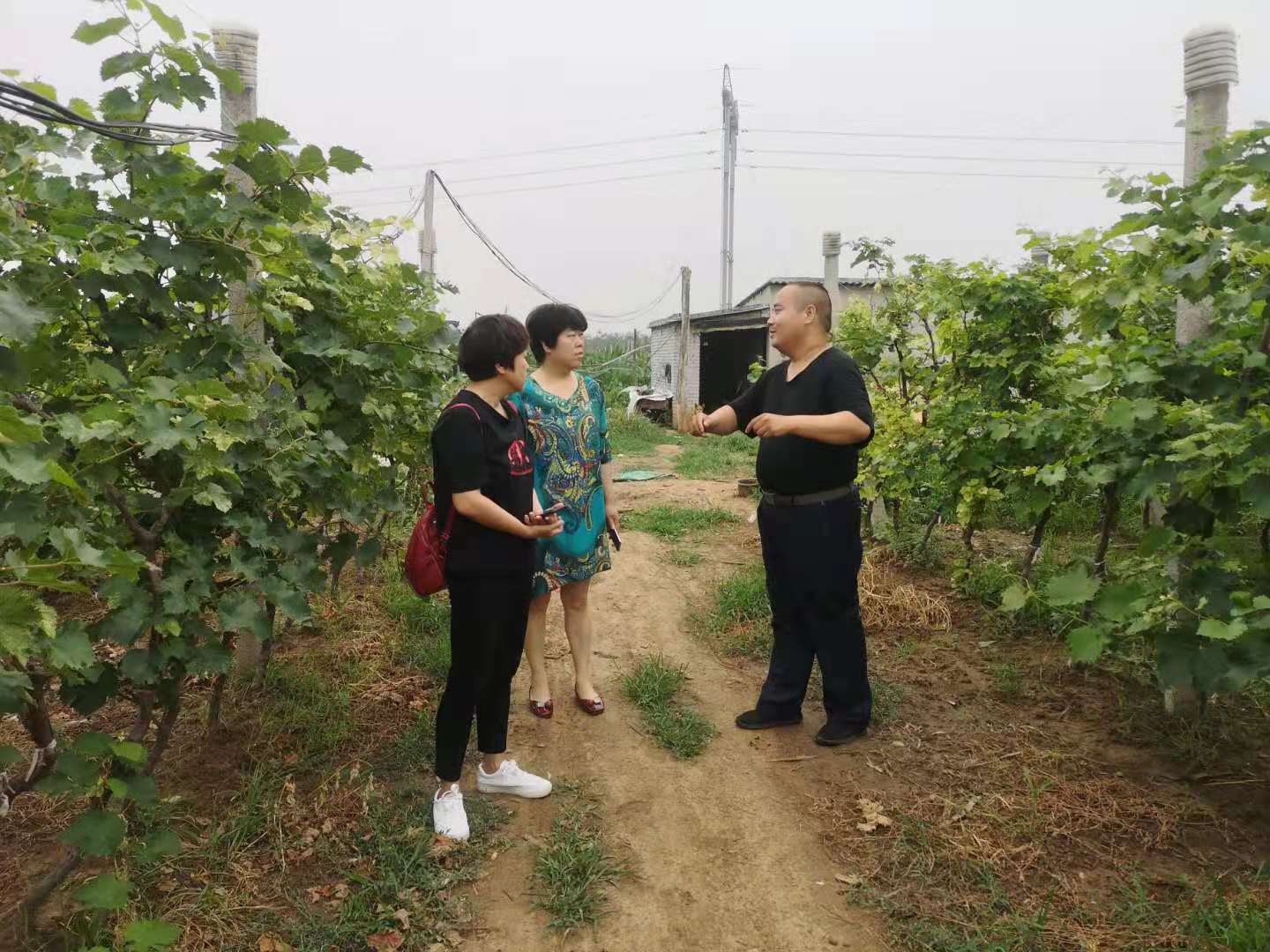 微信图片_20210622113504.jpg