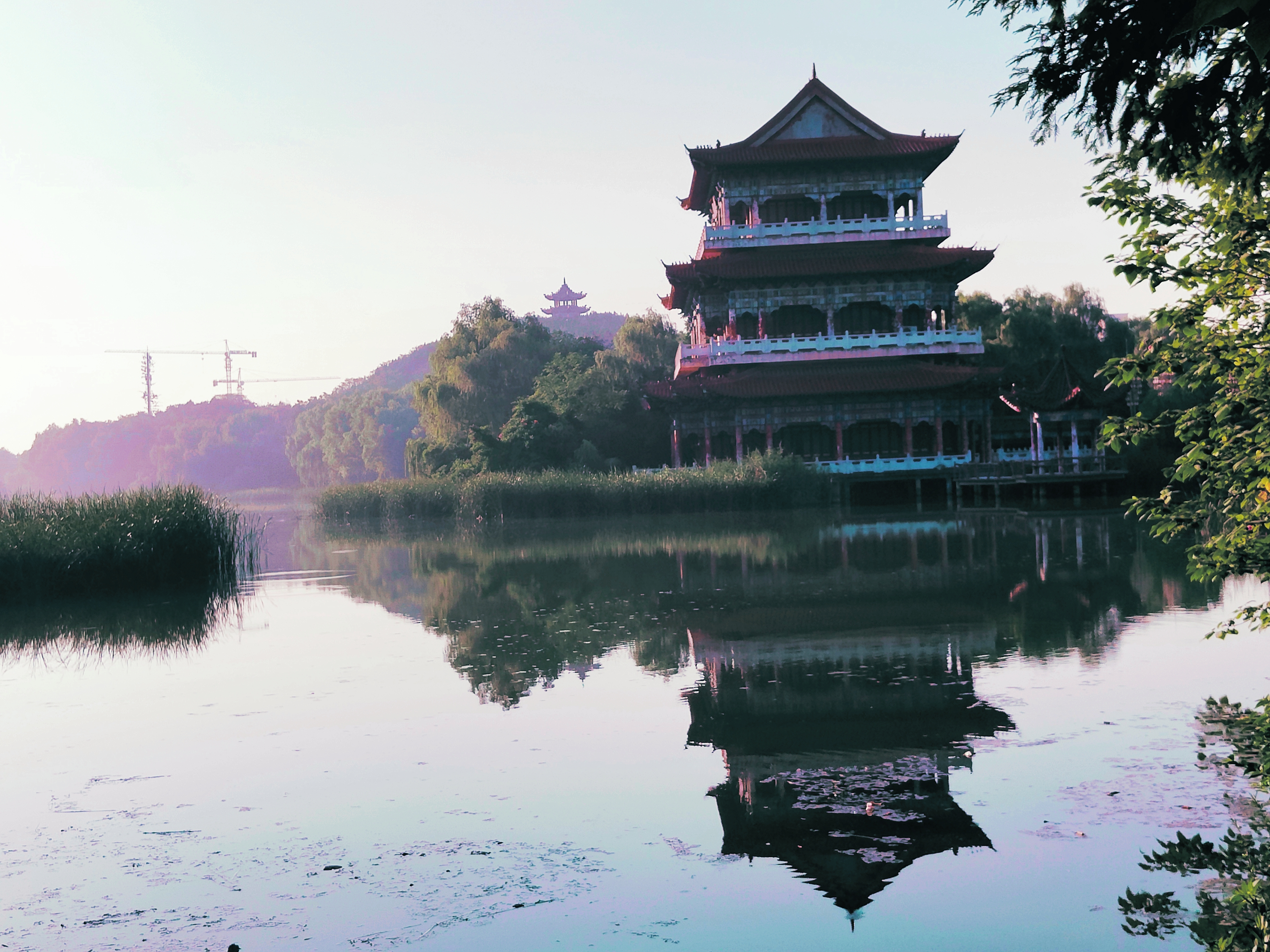 禹州森林植物园图片图片