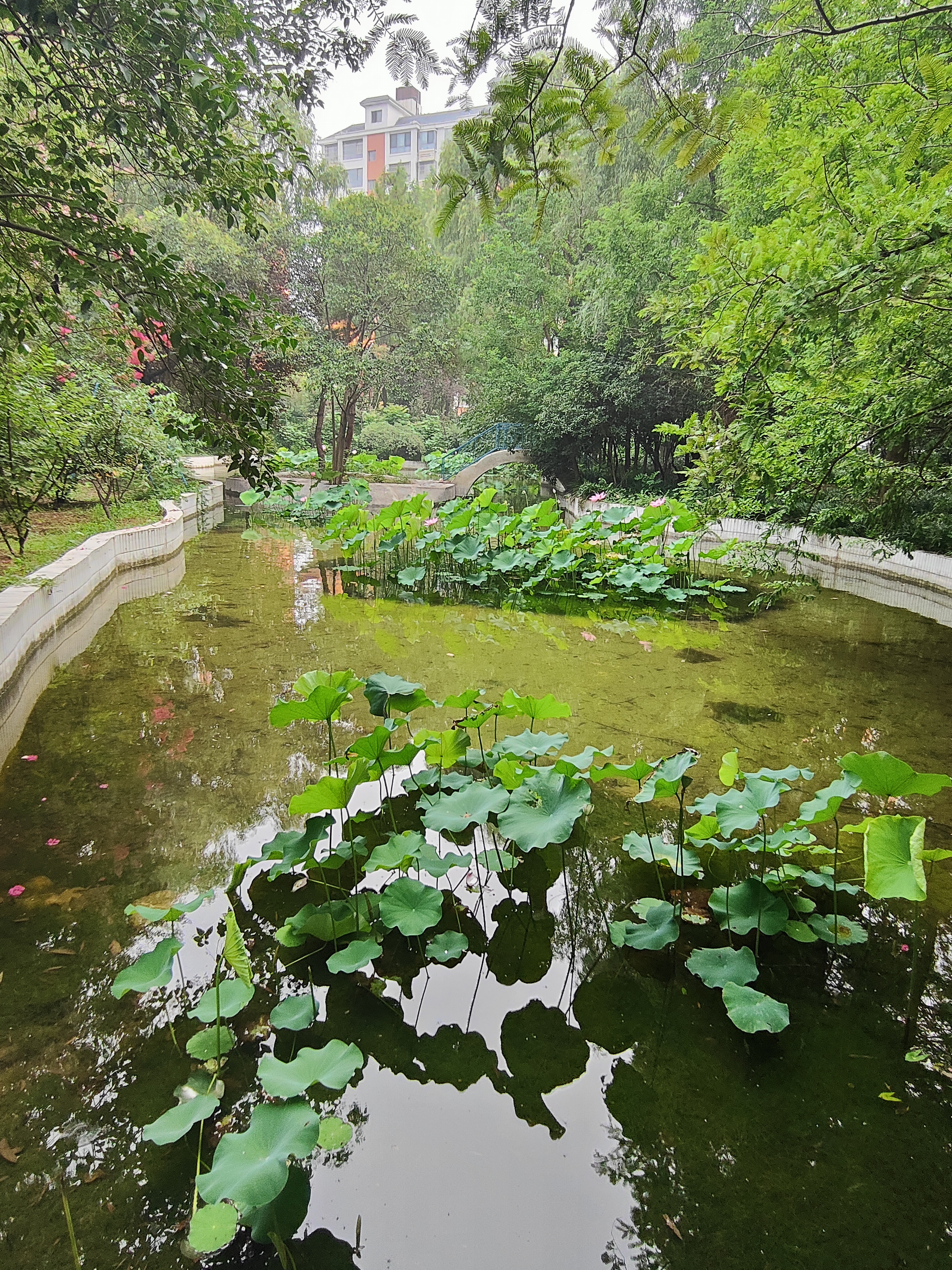 植物园9.jpg