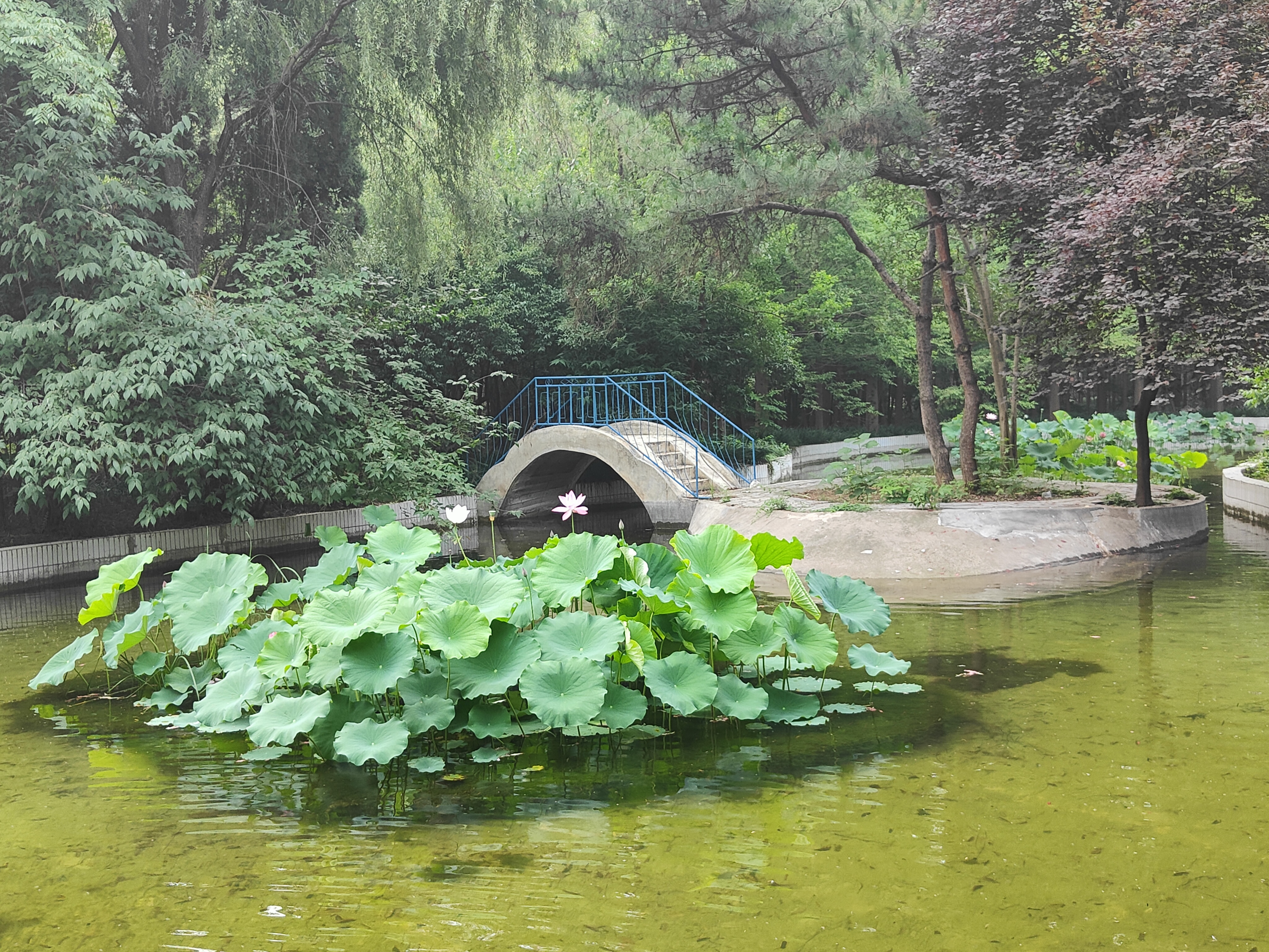 植物园5.jpg