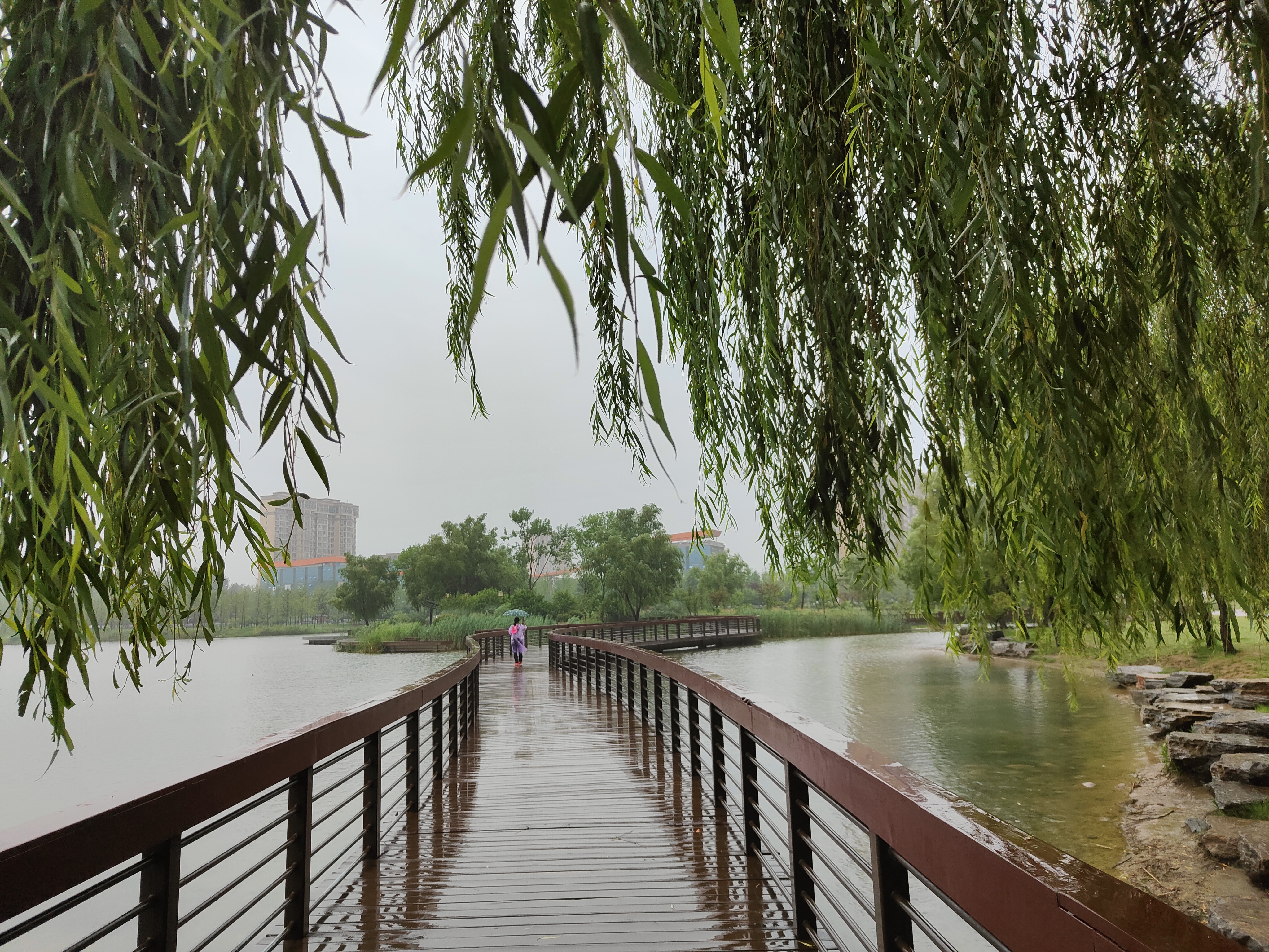 禹州禹王湖雨潤細無聲