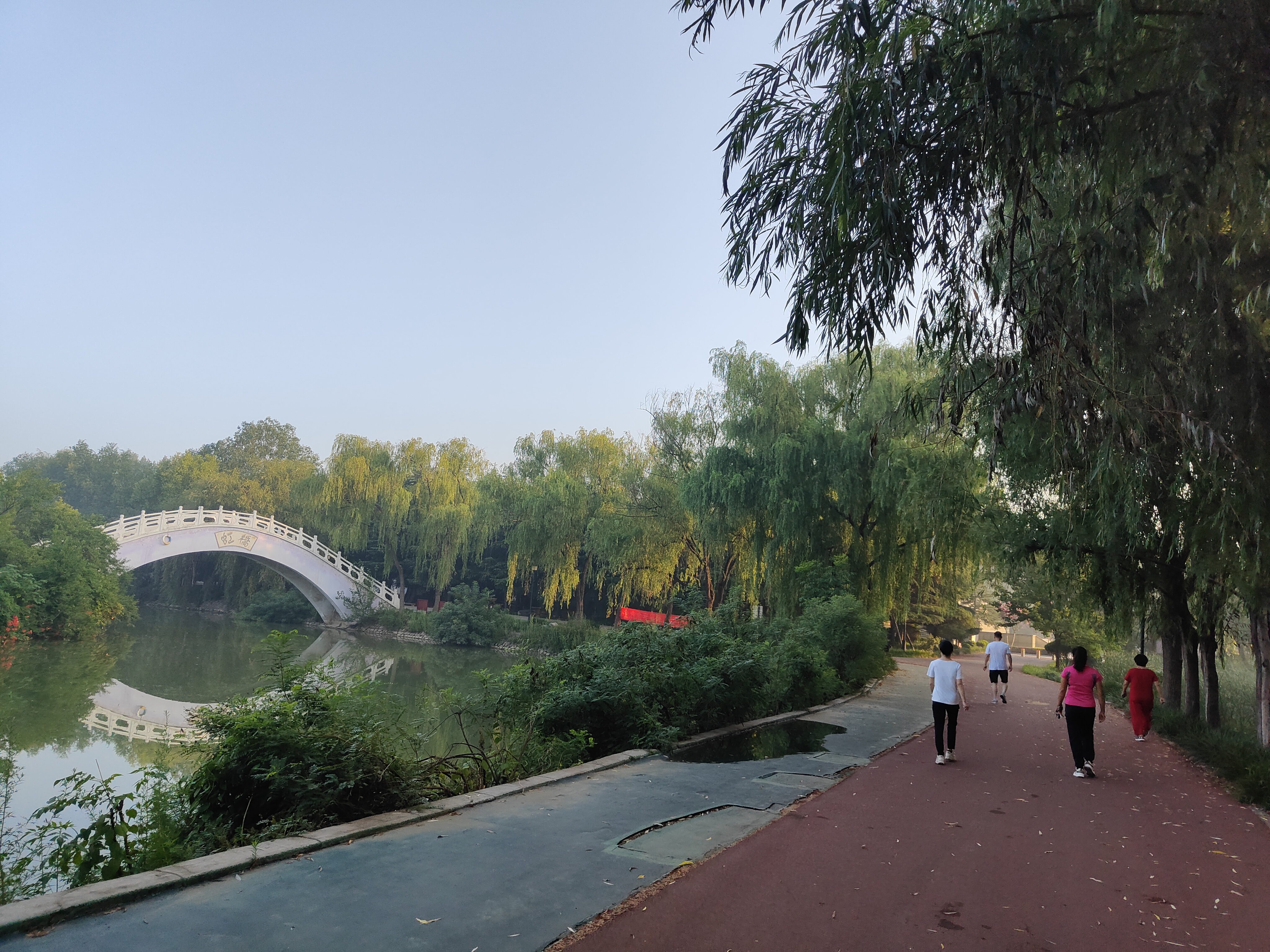 拍摄时间:2022年7月21日拍摄地点:禹州市森林植物园手机随拍:贺景昌
