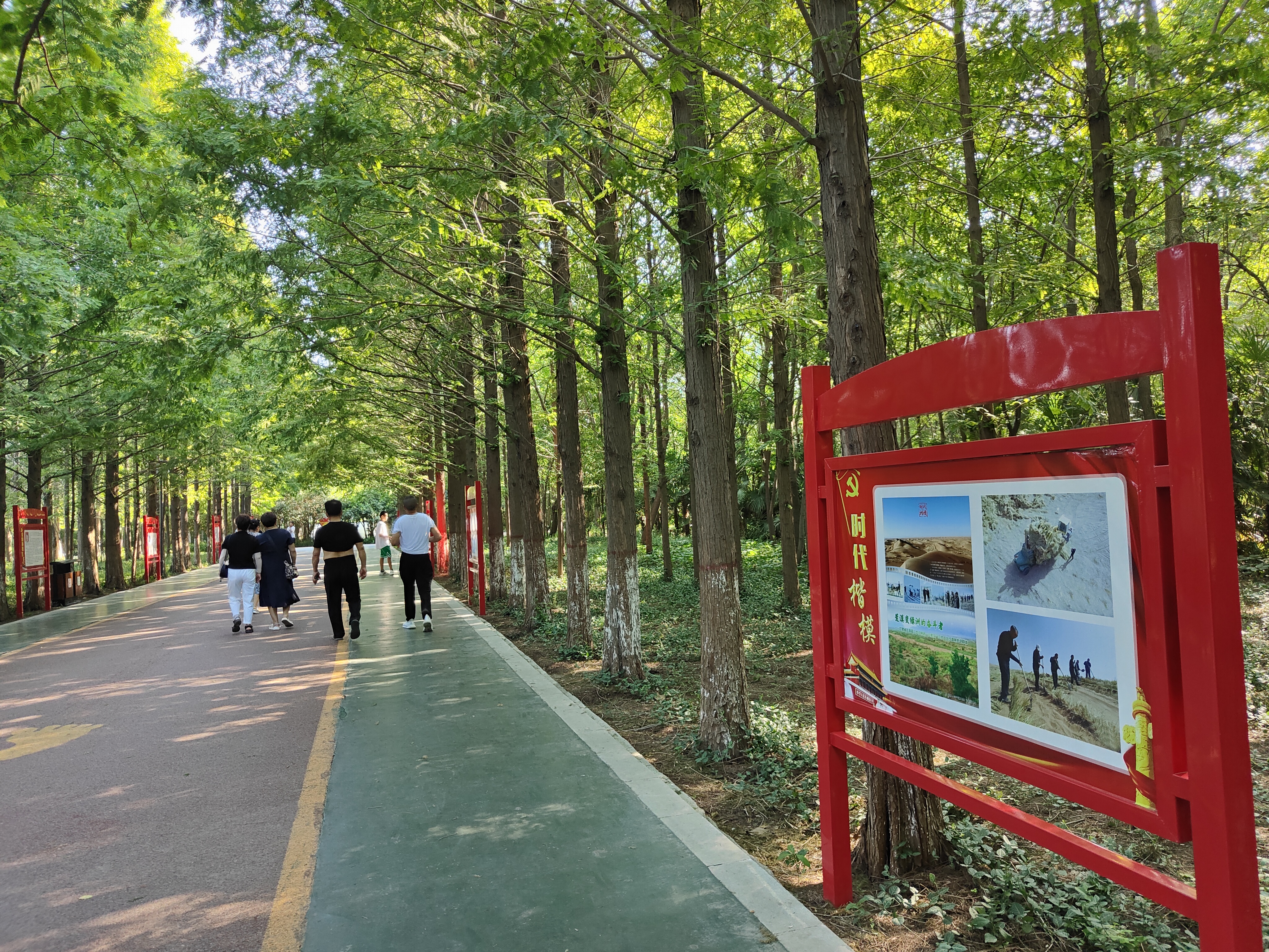 禹州森林植物园夏末休闲好去处观景健身两不误