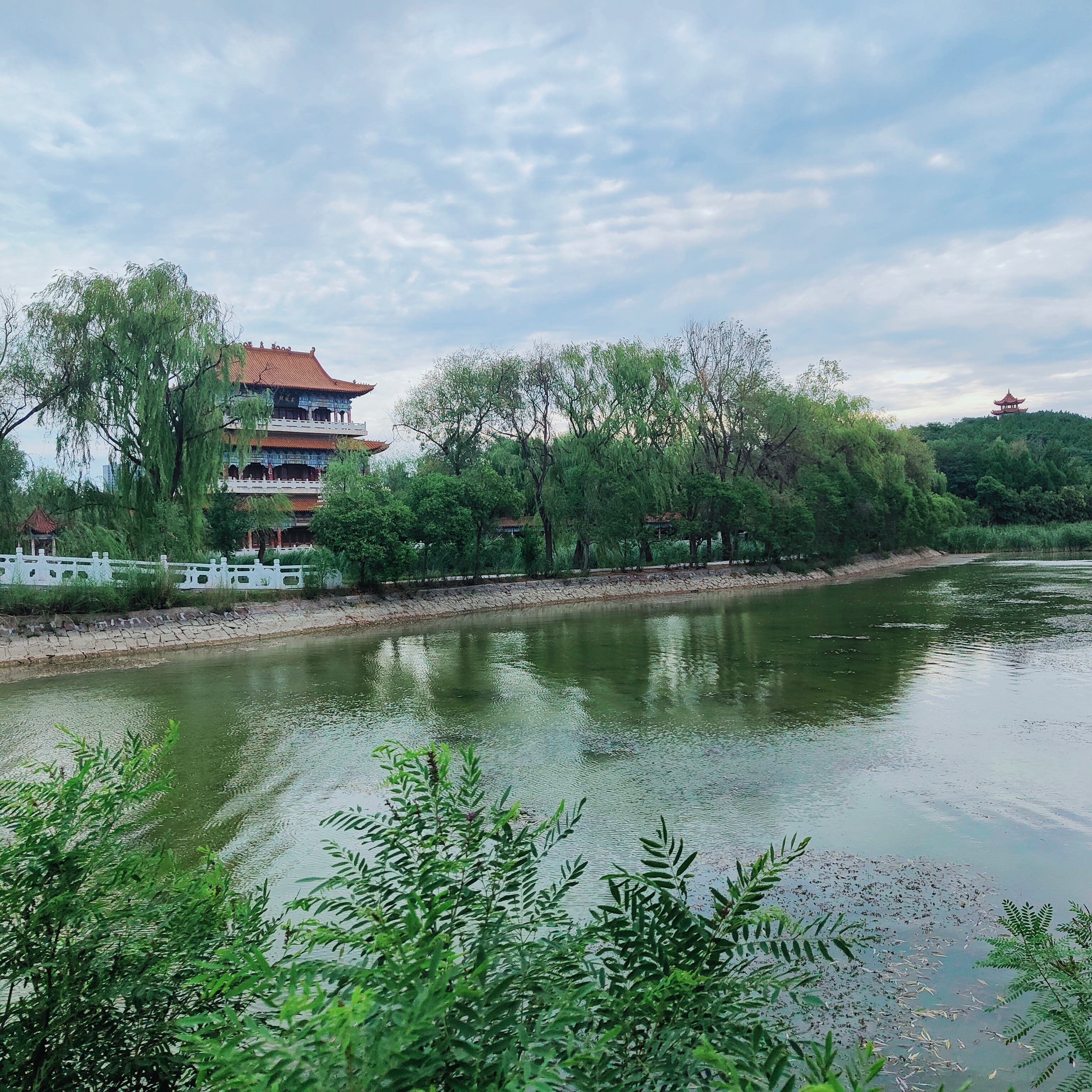 2022年8月23日拍摄地点:禹州市森林植物园手机随拍:贺景昌编辑:马阳