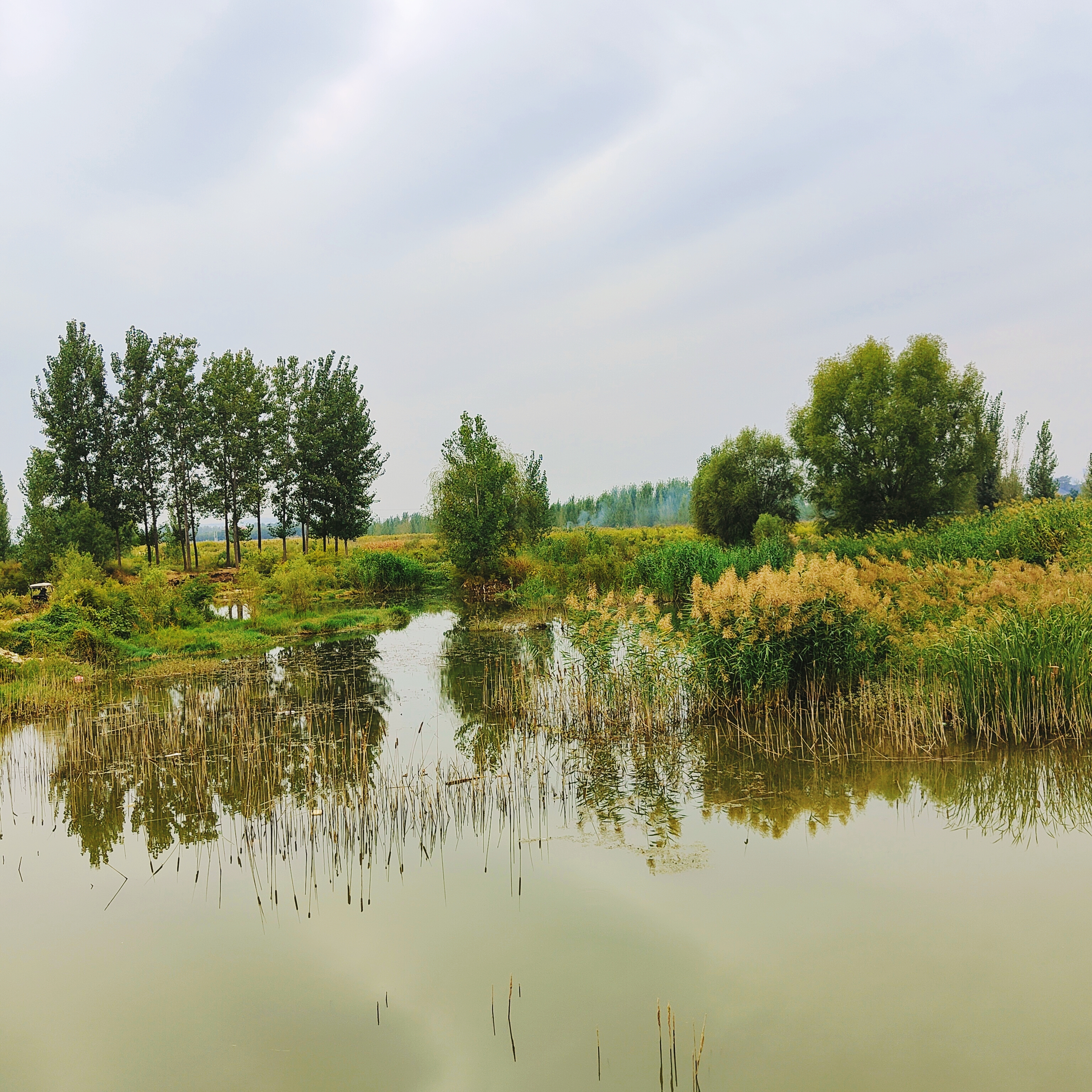 河南禹州:悦耳动听沙陀水  秋湖美景惹人醉