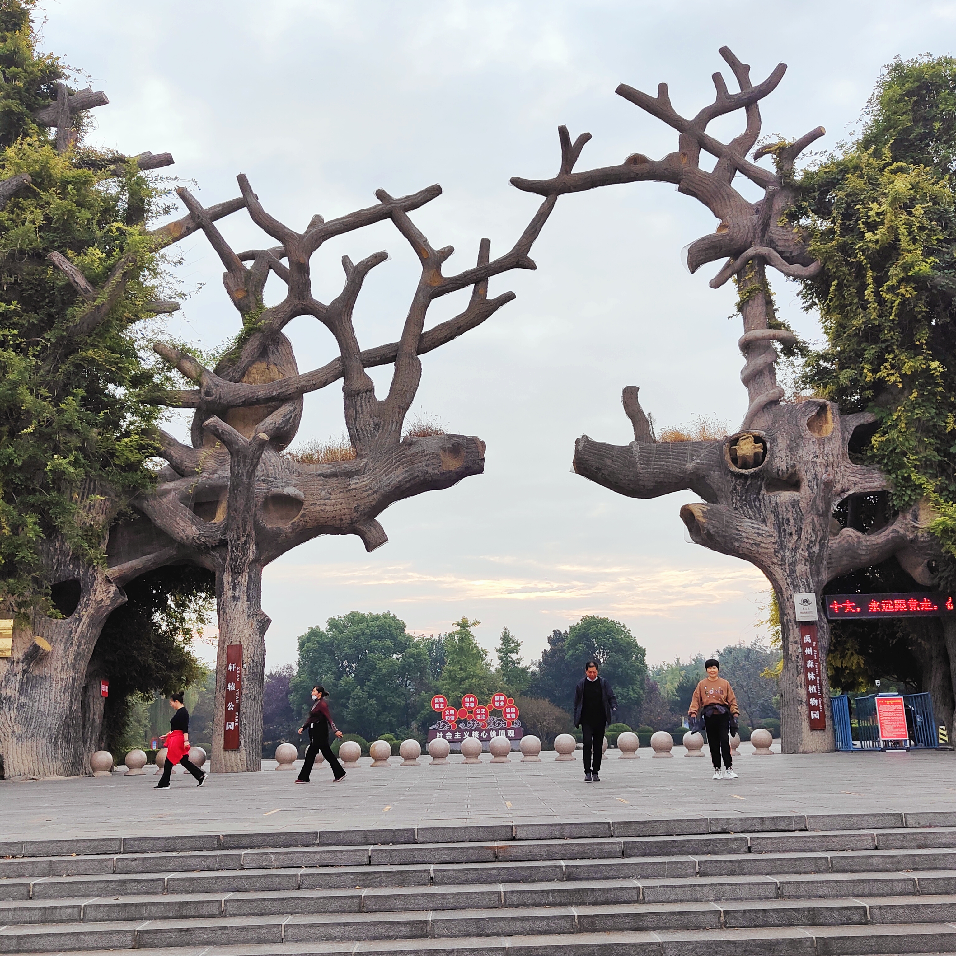 禹州森林植物园图片图片