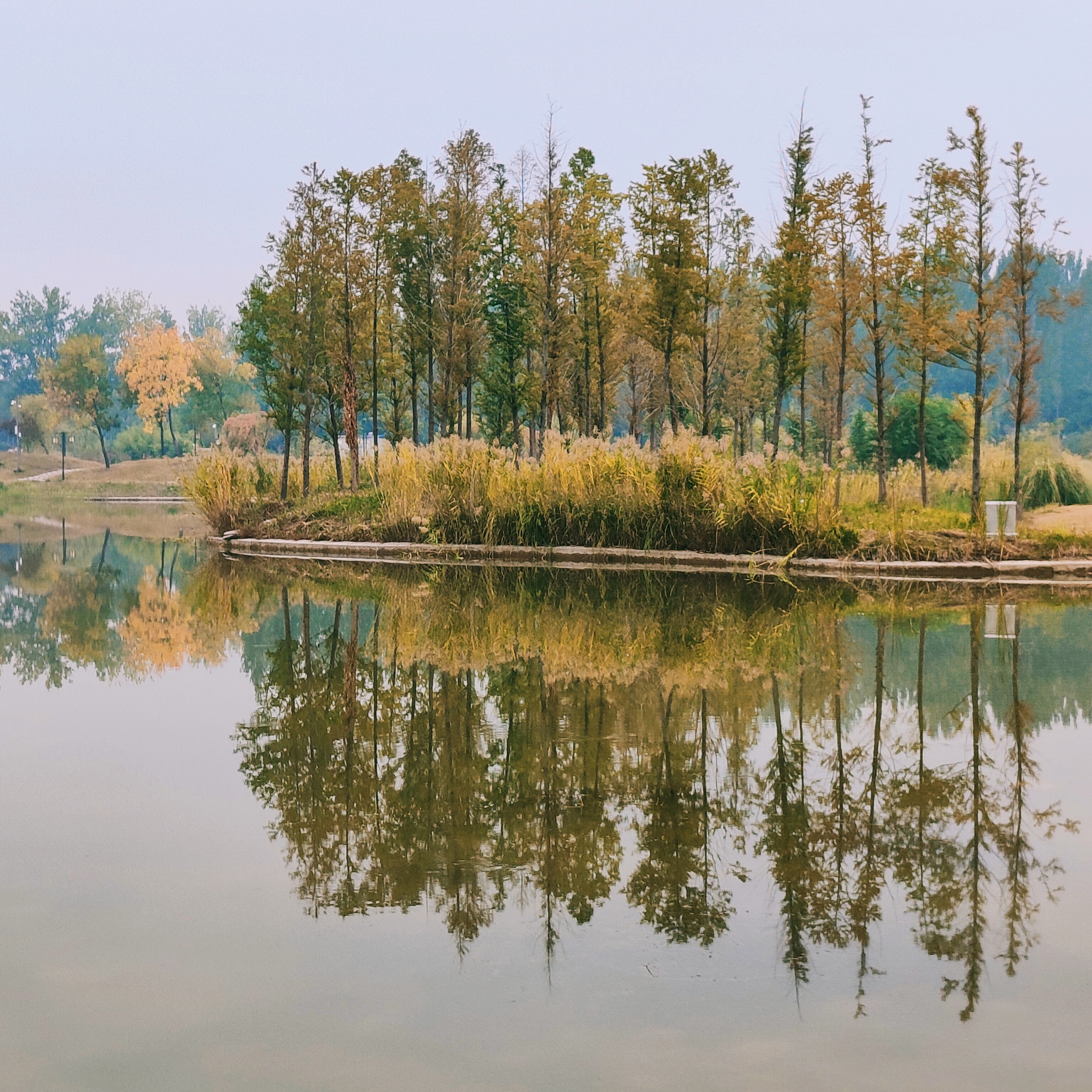 2022年10月14日拍摄地点:禹州市森林植物园手机随拍:贺景昌