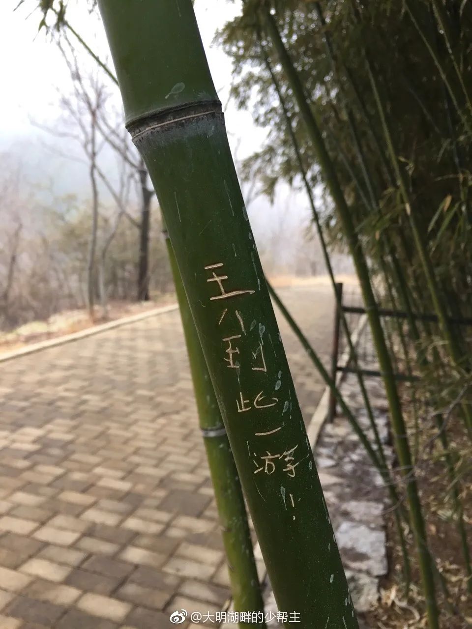 微信图片_20221209171506.jpg