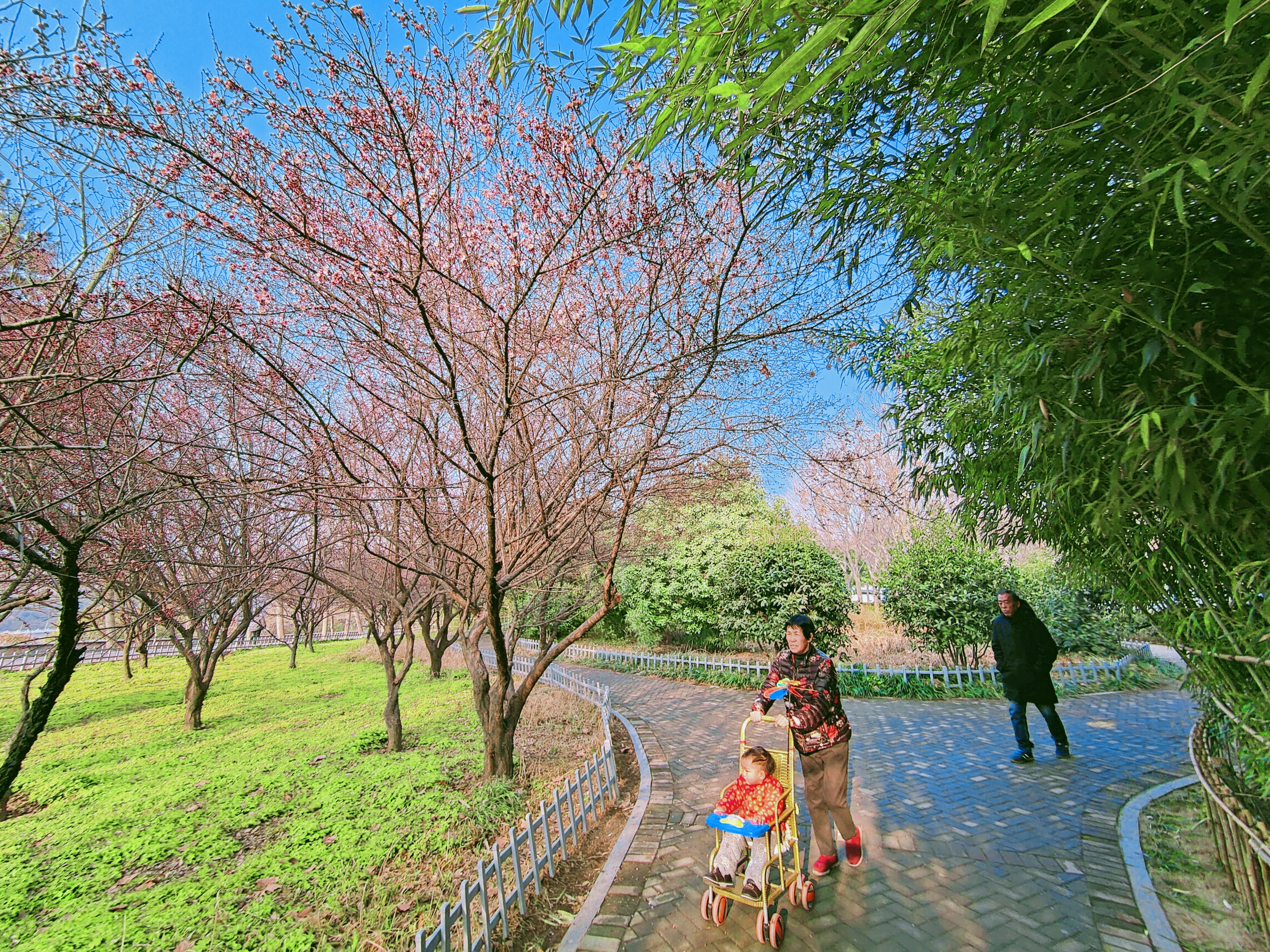 春暖花开8.jpg