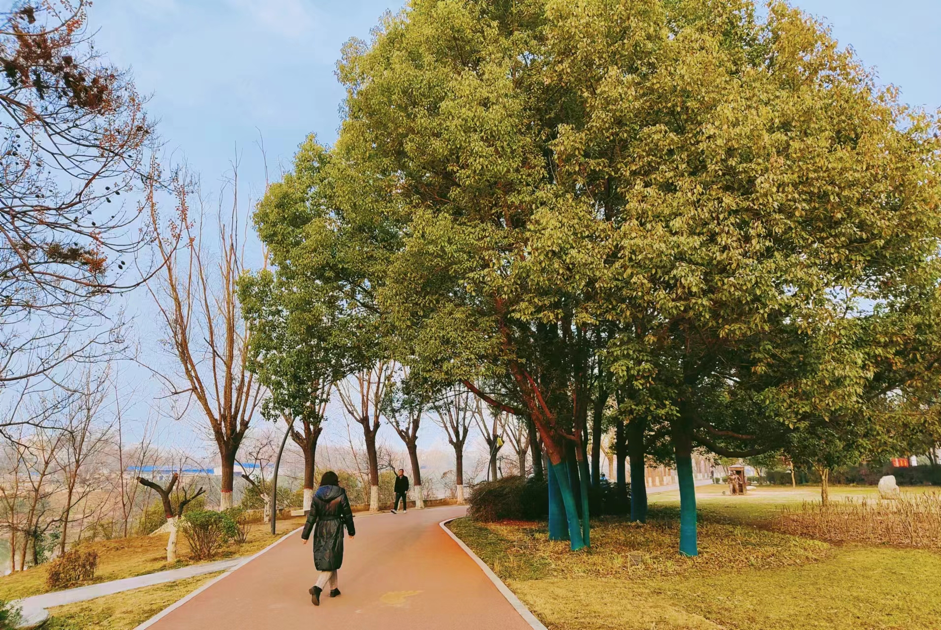 晨练2.jpg