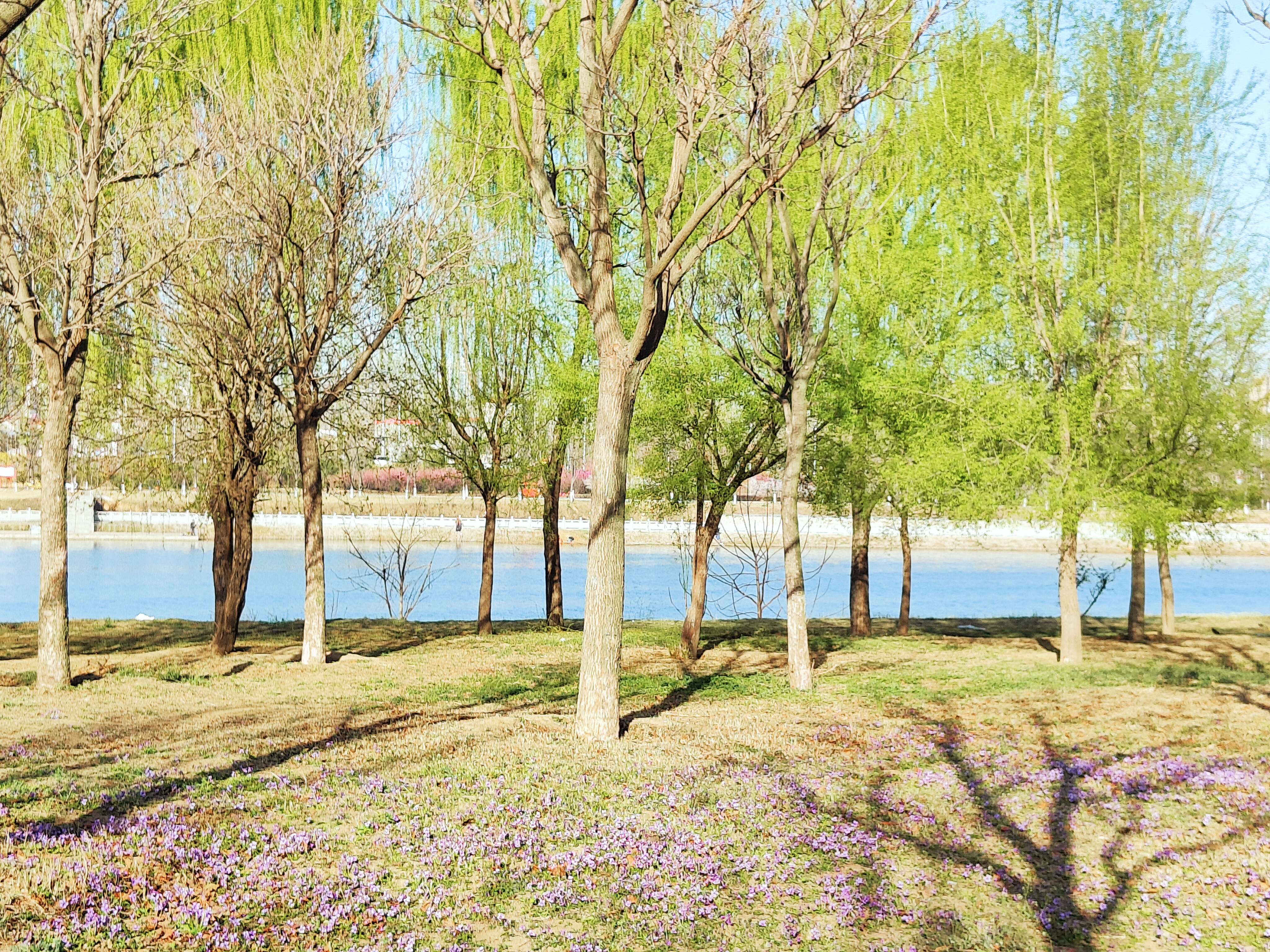 春色美4.jpg