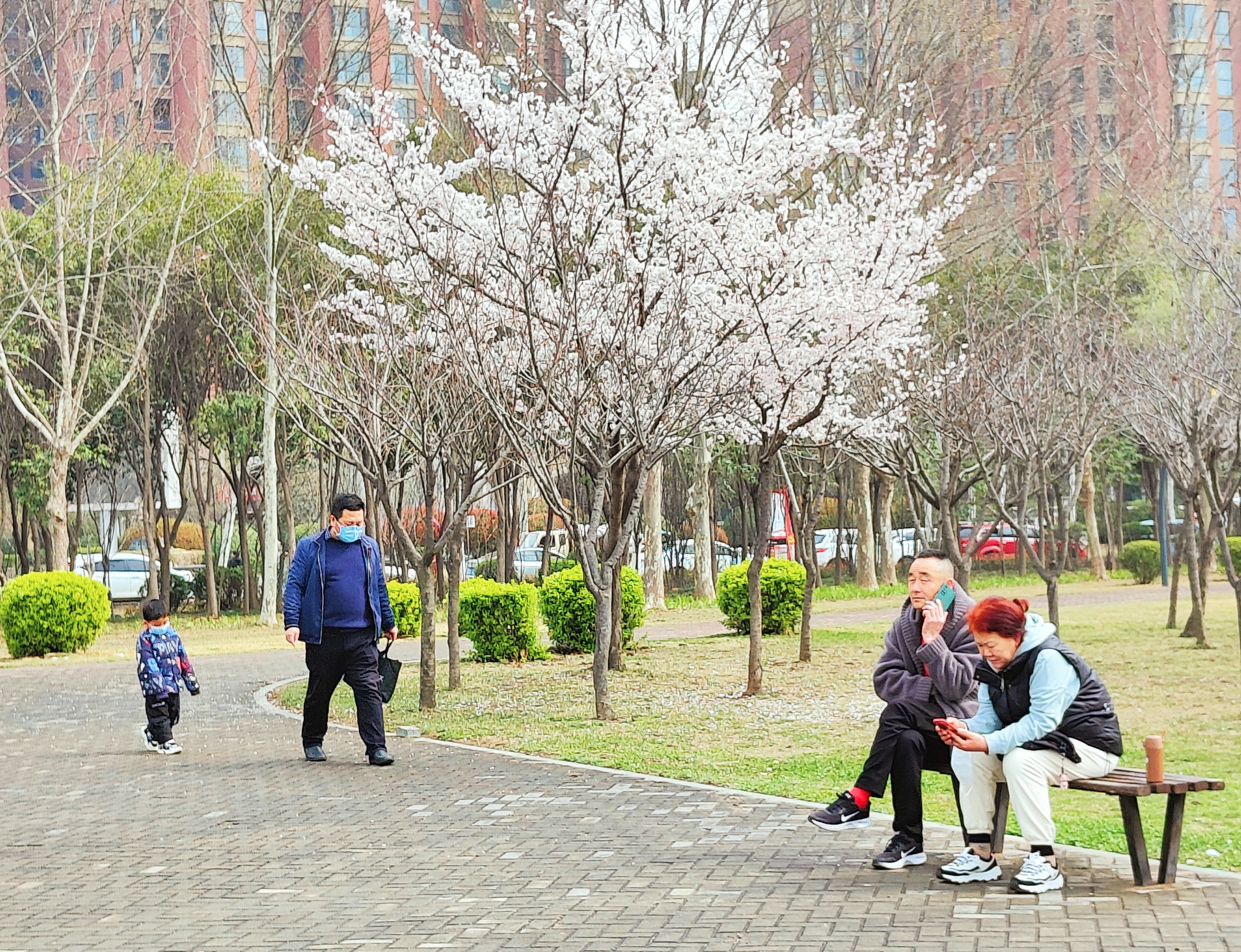 颍北公园6.jpg