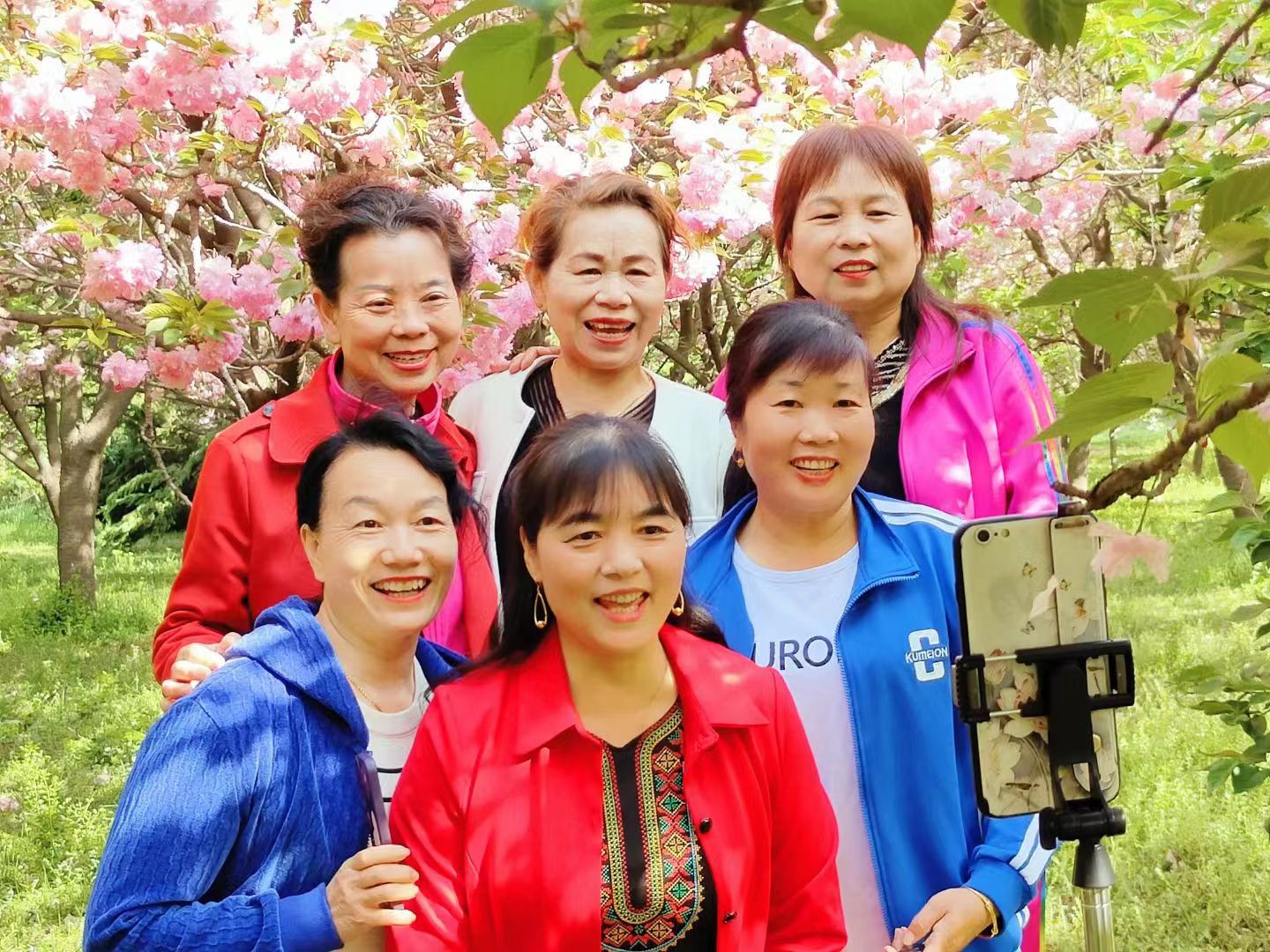 樱花3.jpg