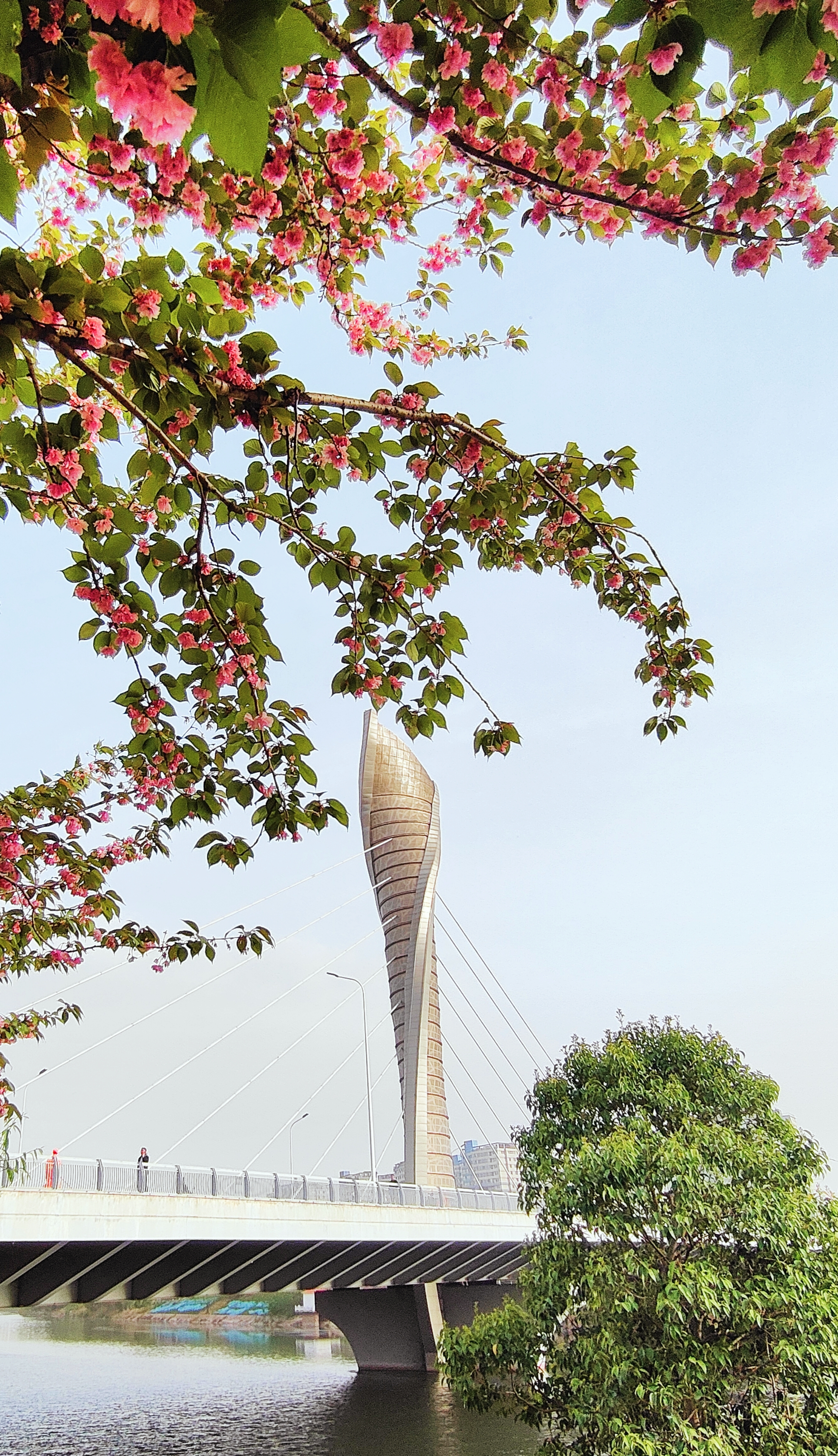 颍河1.jpg