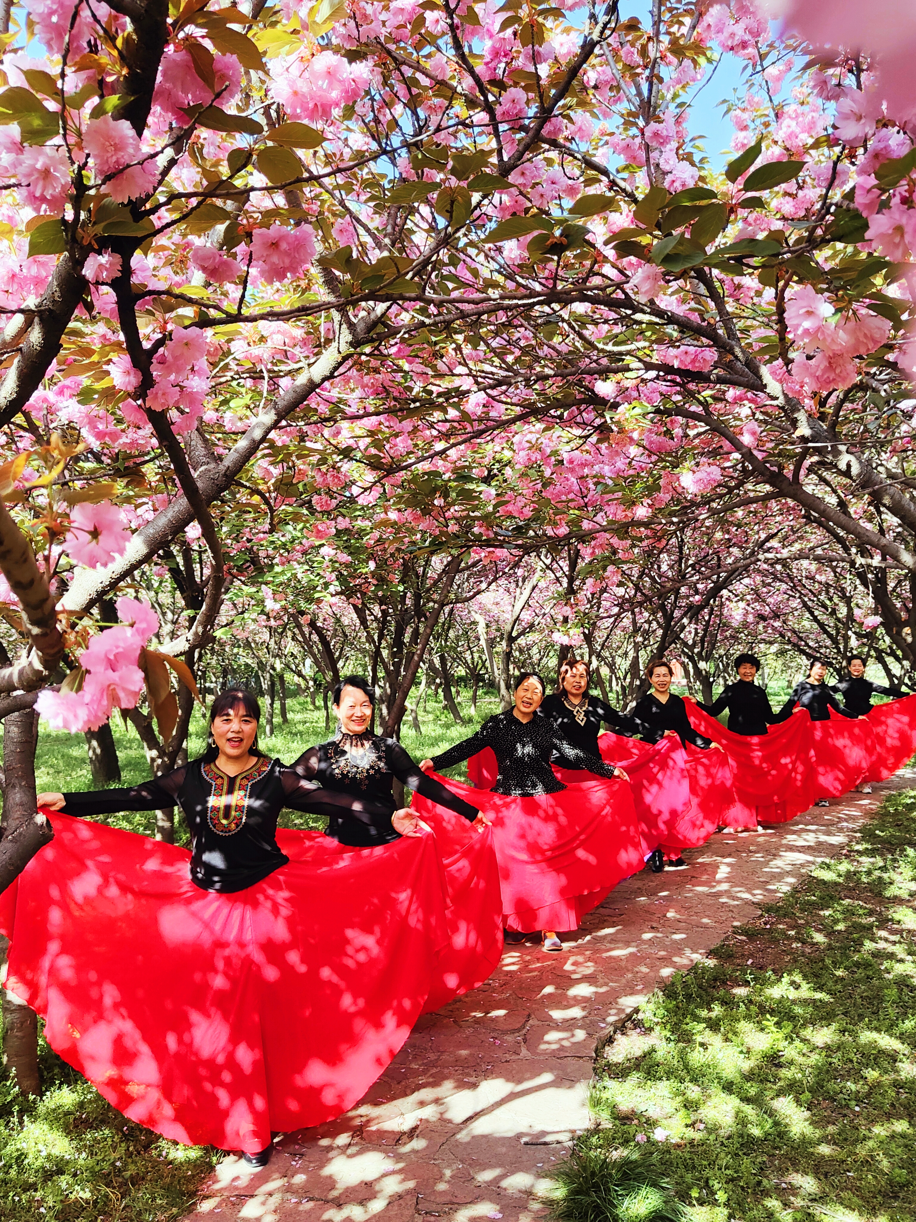 樱花1.jpg