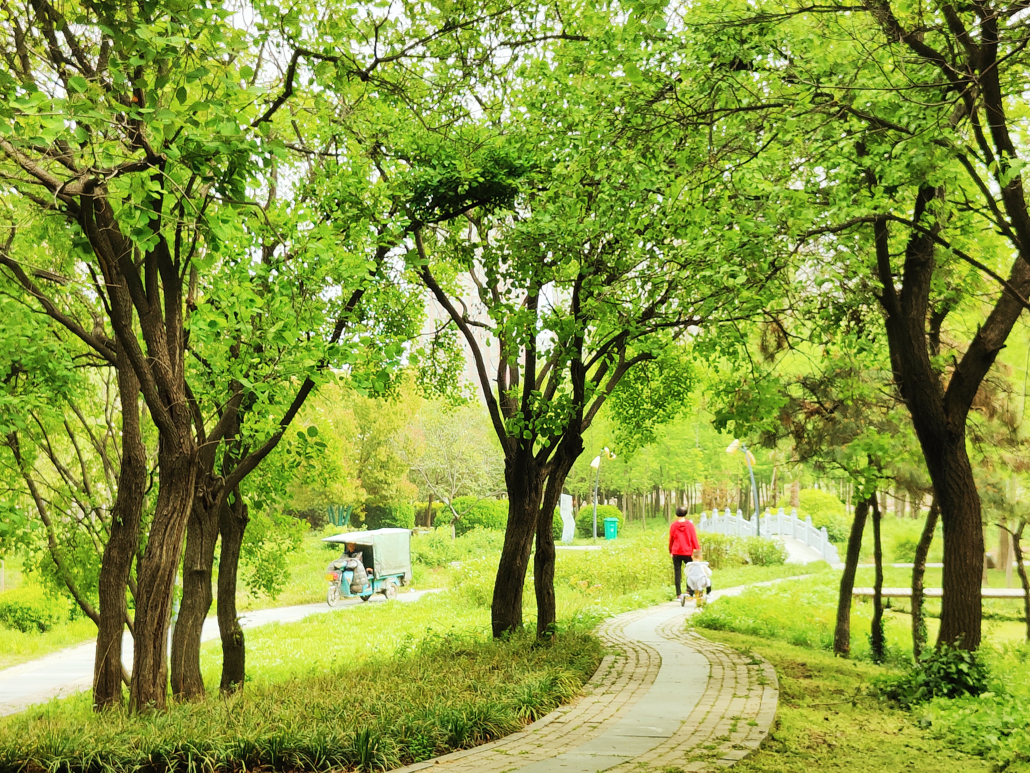 颍河9.jpg