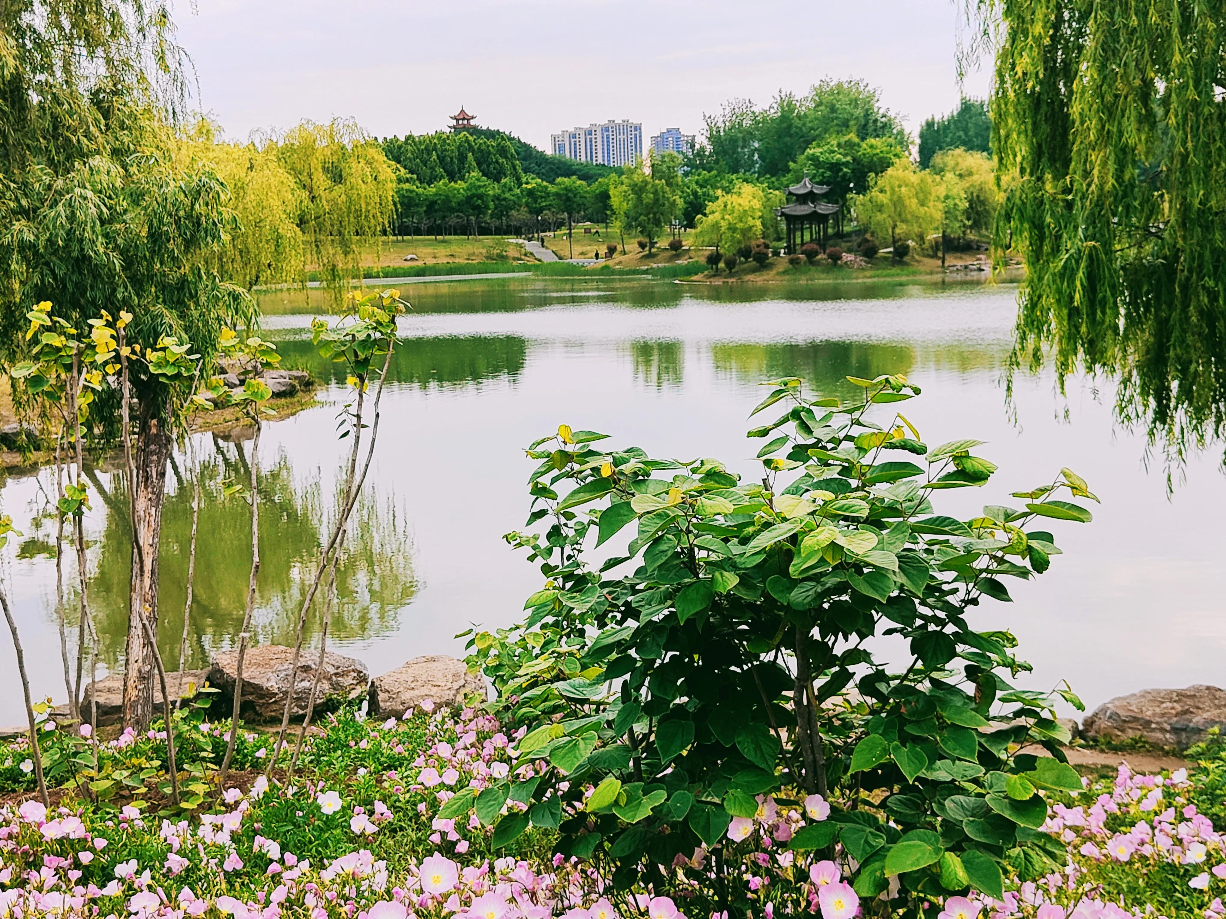 观景健身3.jpg