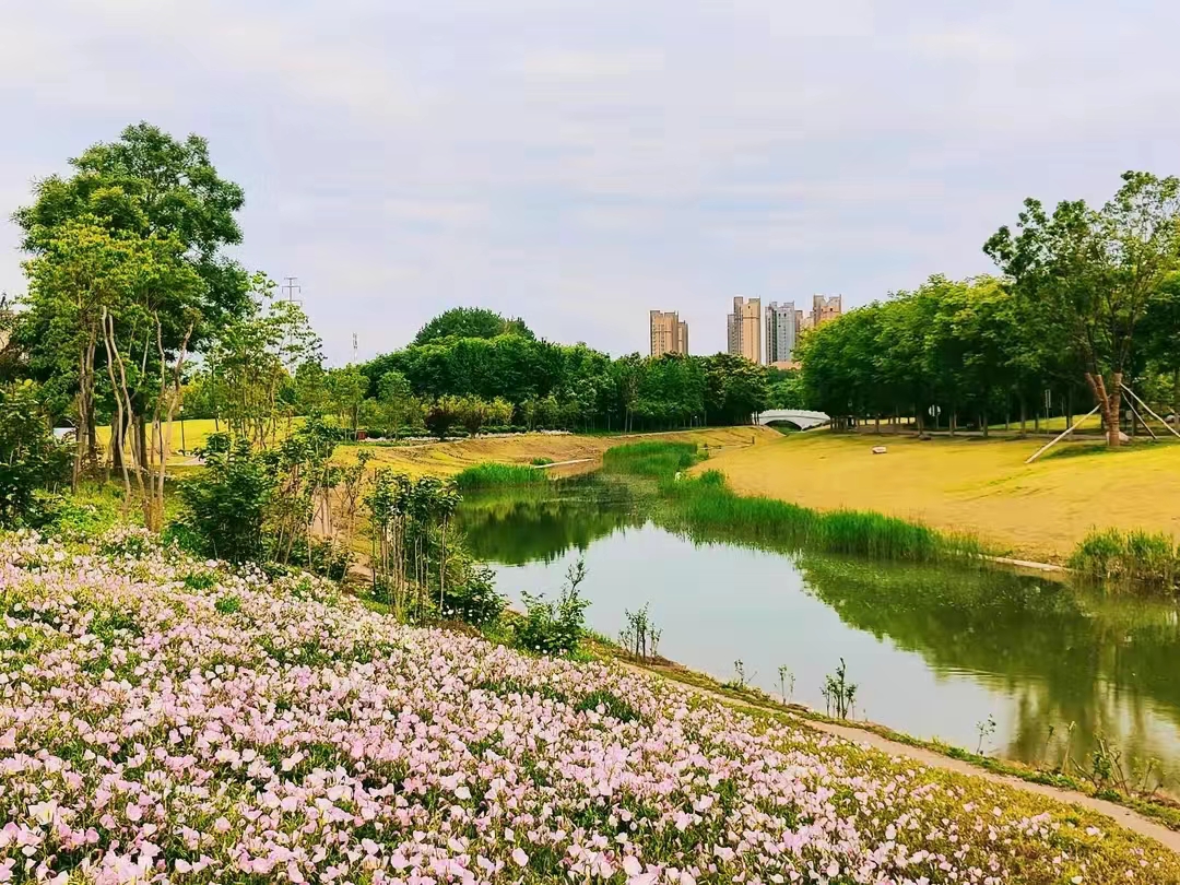 观景健身1.jpg