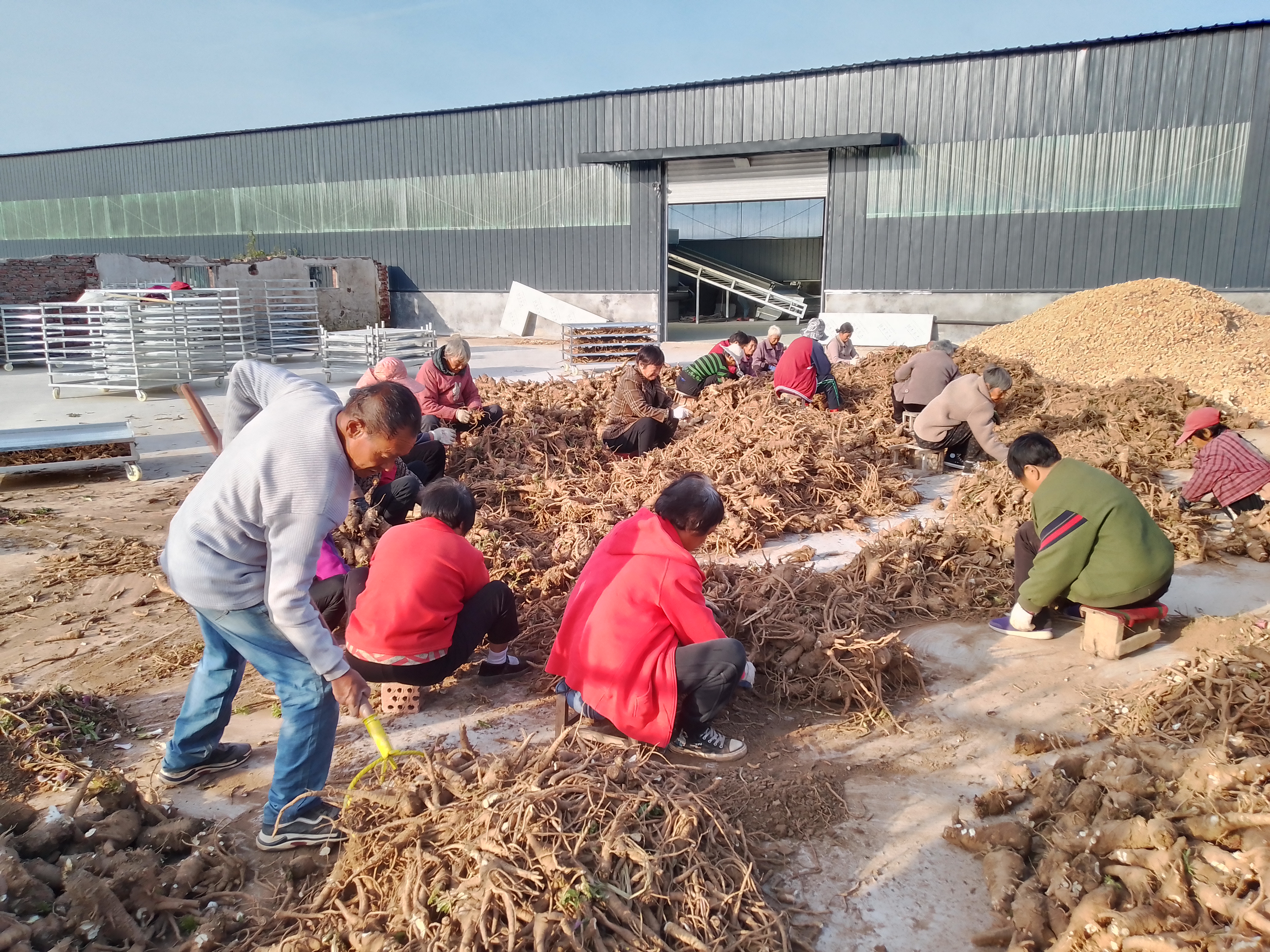 搞药材批发需要什么