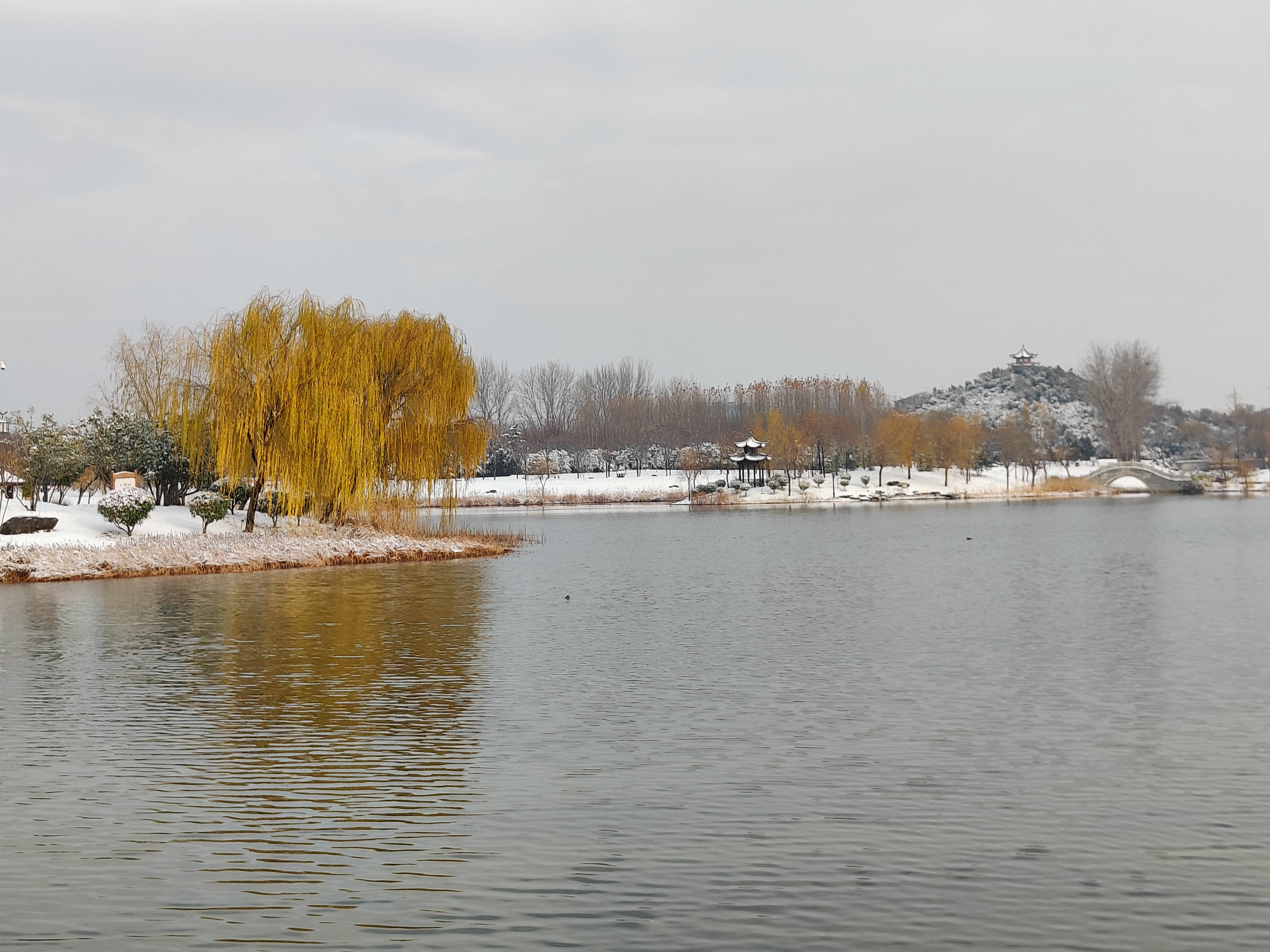 禹州:素裹美如画 瑞雪兆丰年-大象网