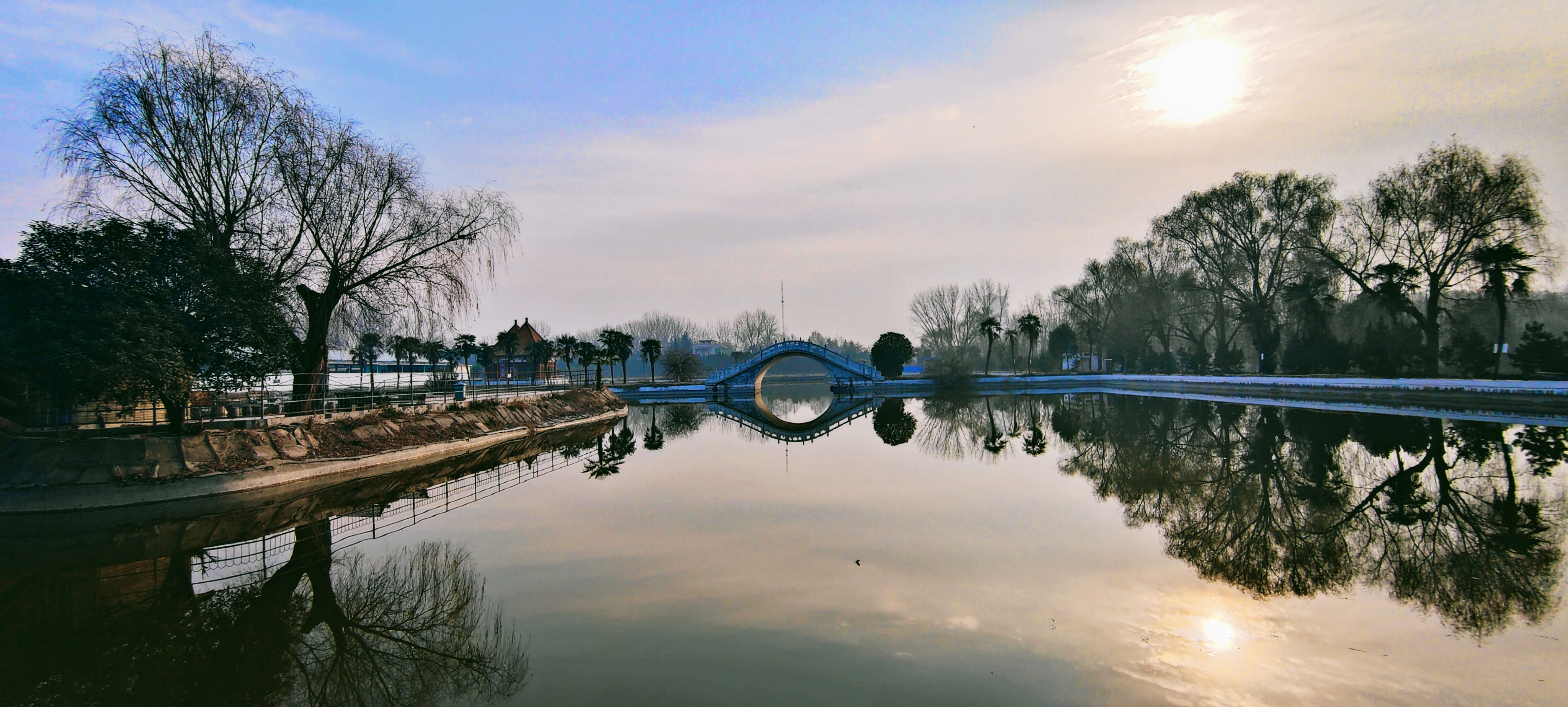 河南禹州新年新风貌大美植物园