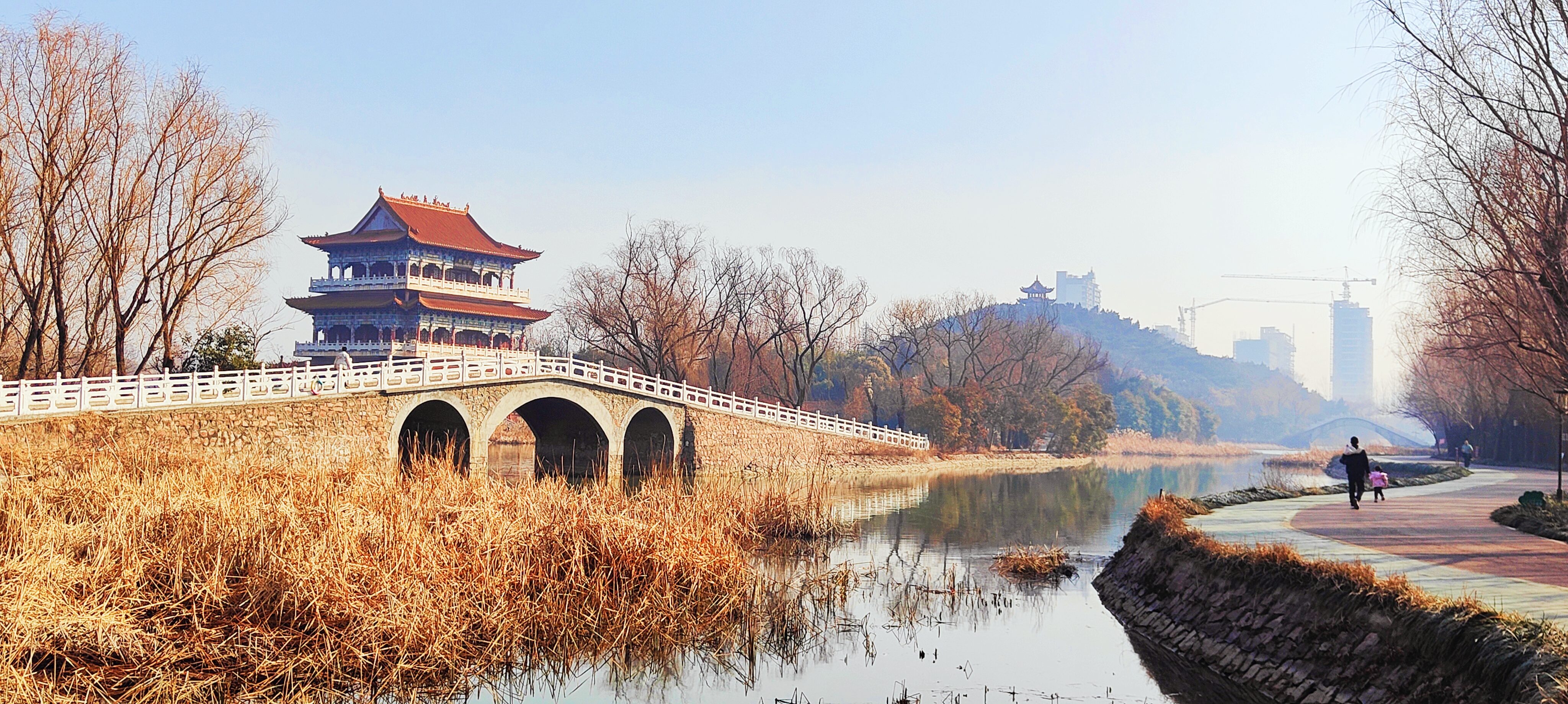 河南禹州:三九首日晨游园 欣遇梅开绽笑颜-大象网