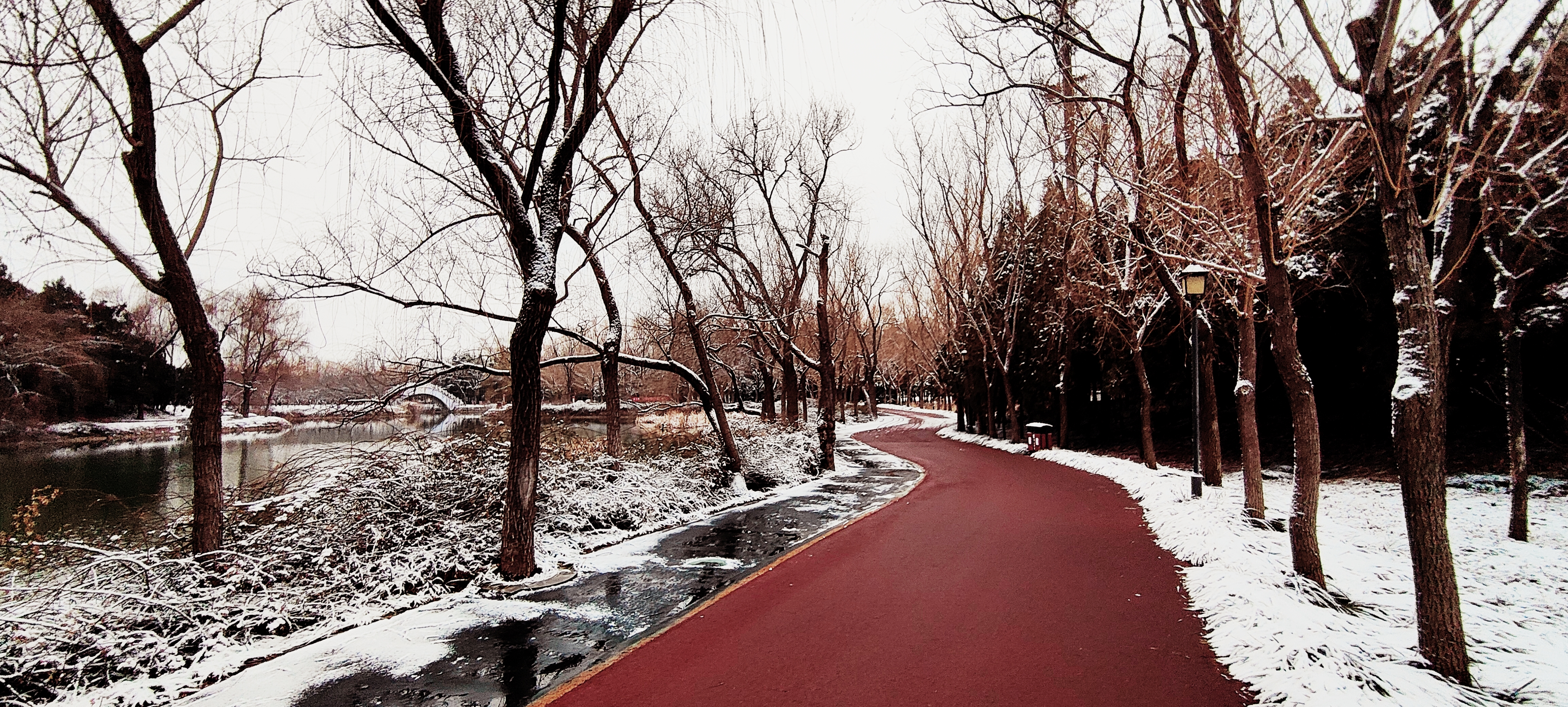 禹州森林植物园休闲步道雪已清健身不误观雪景