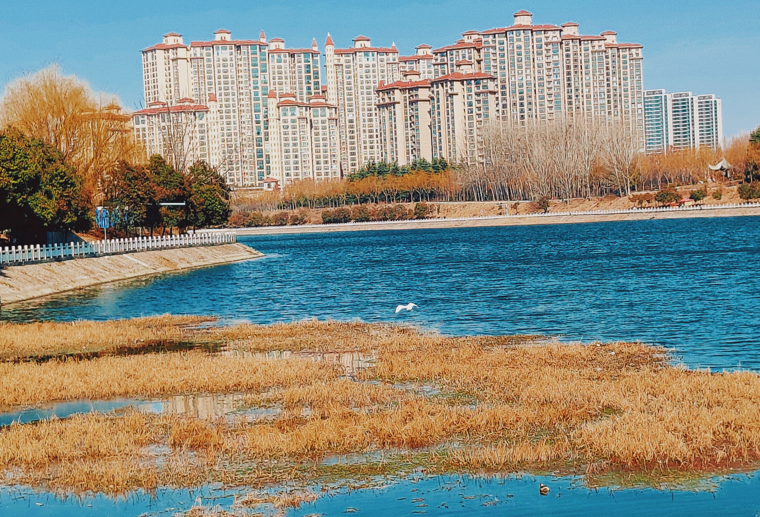 河南禹州冬日颍水蓝两岸风景美