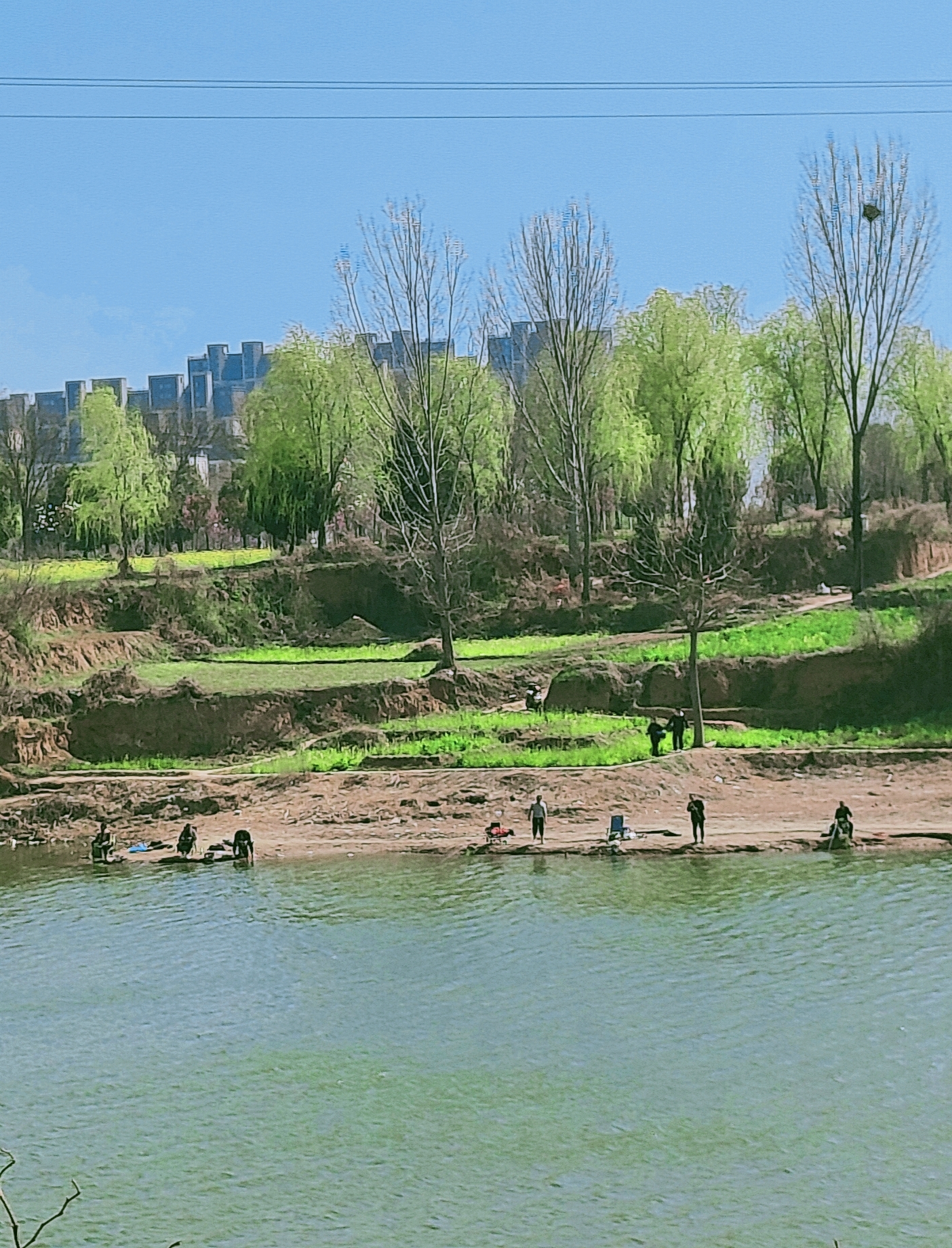 河南禹州:繁花盛开春意浓 风景秀丽登善湖-大象网