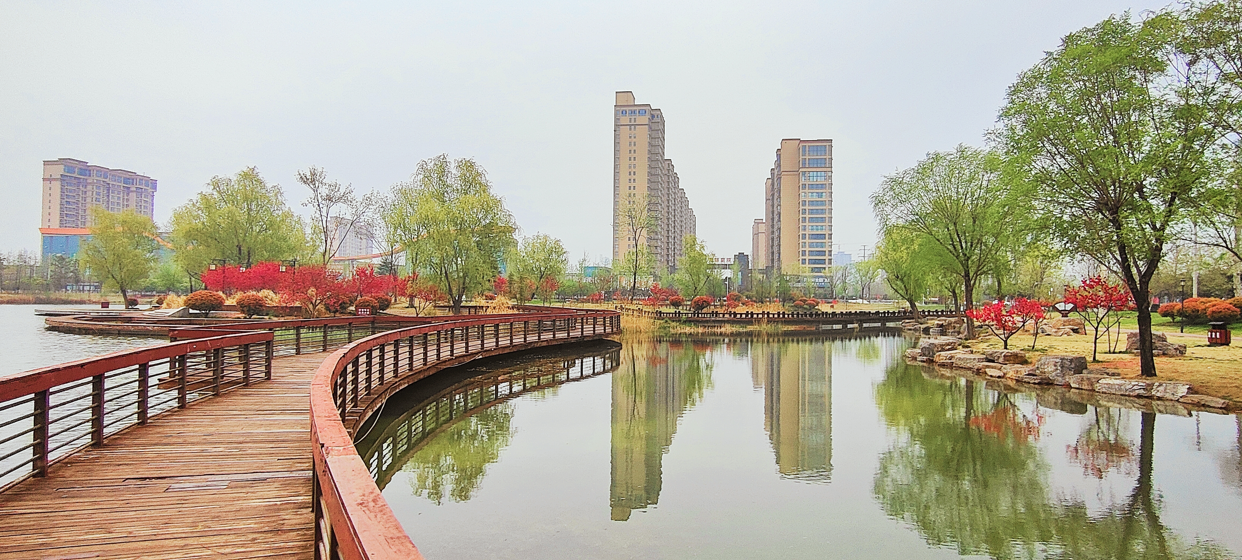 拍摄时间:2024年4月2日拍摄地点:禹州市森林植物园手机随拍:贺景昌