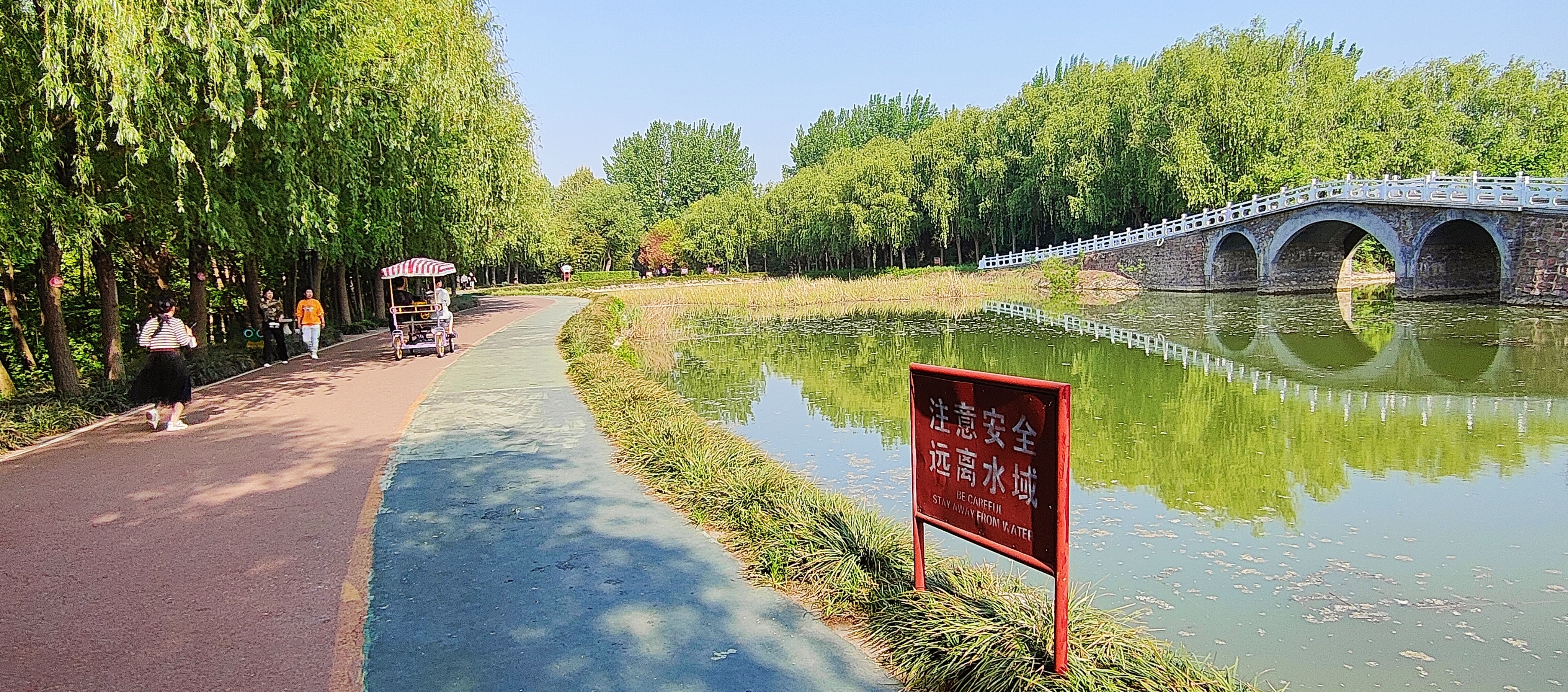 拍摄时间:2024年4月18日拍摄地点:禹州市森林植物园手机随拍:贺景昌
