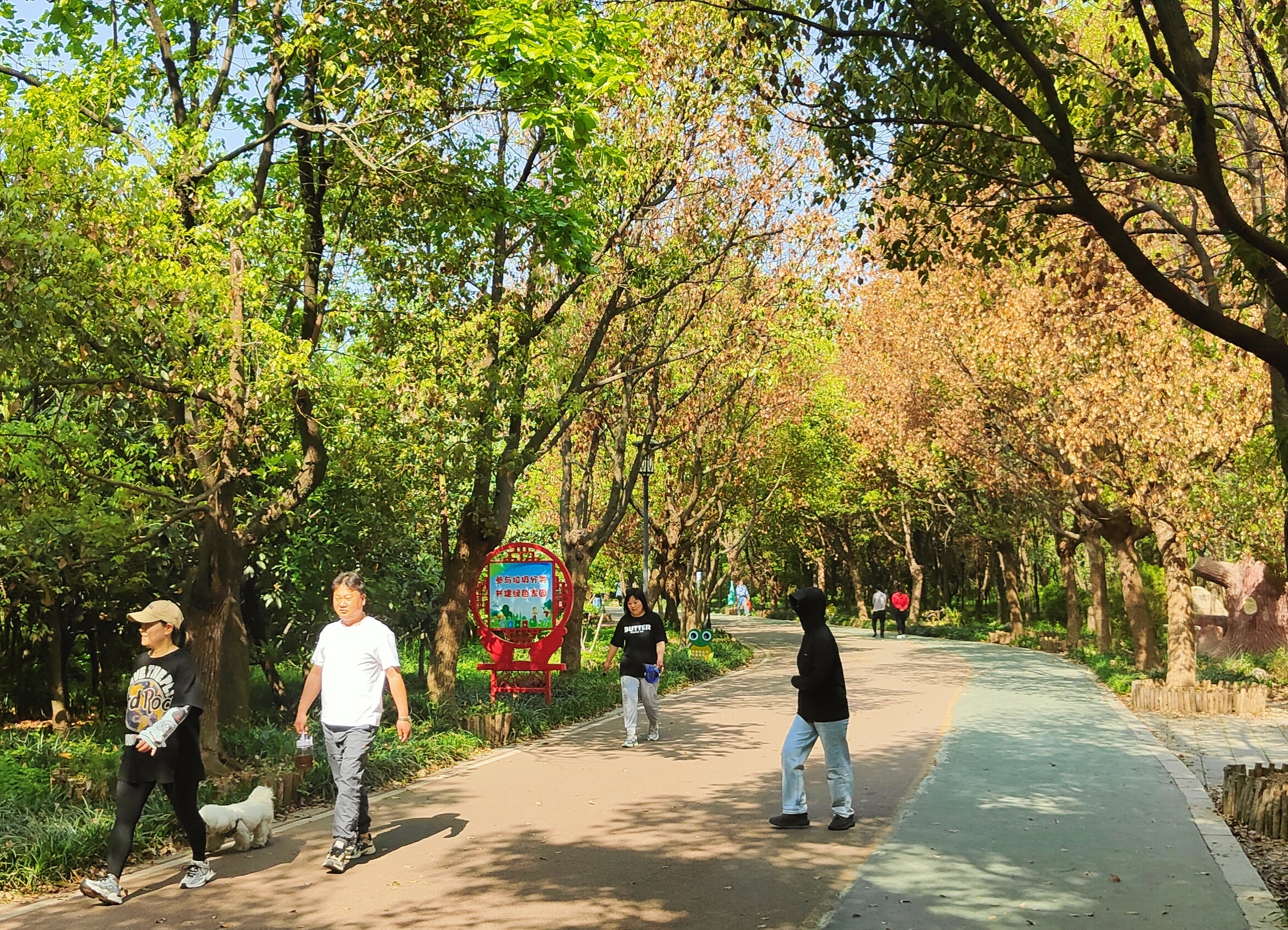 拍摄时间:2024年4月18日拍摄地点:禹州市森林植物园手机随拍:贺景昌