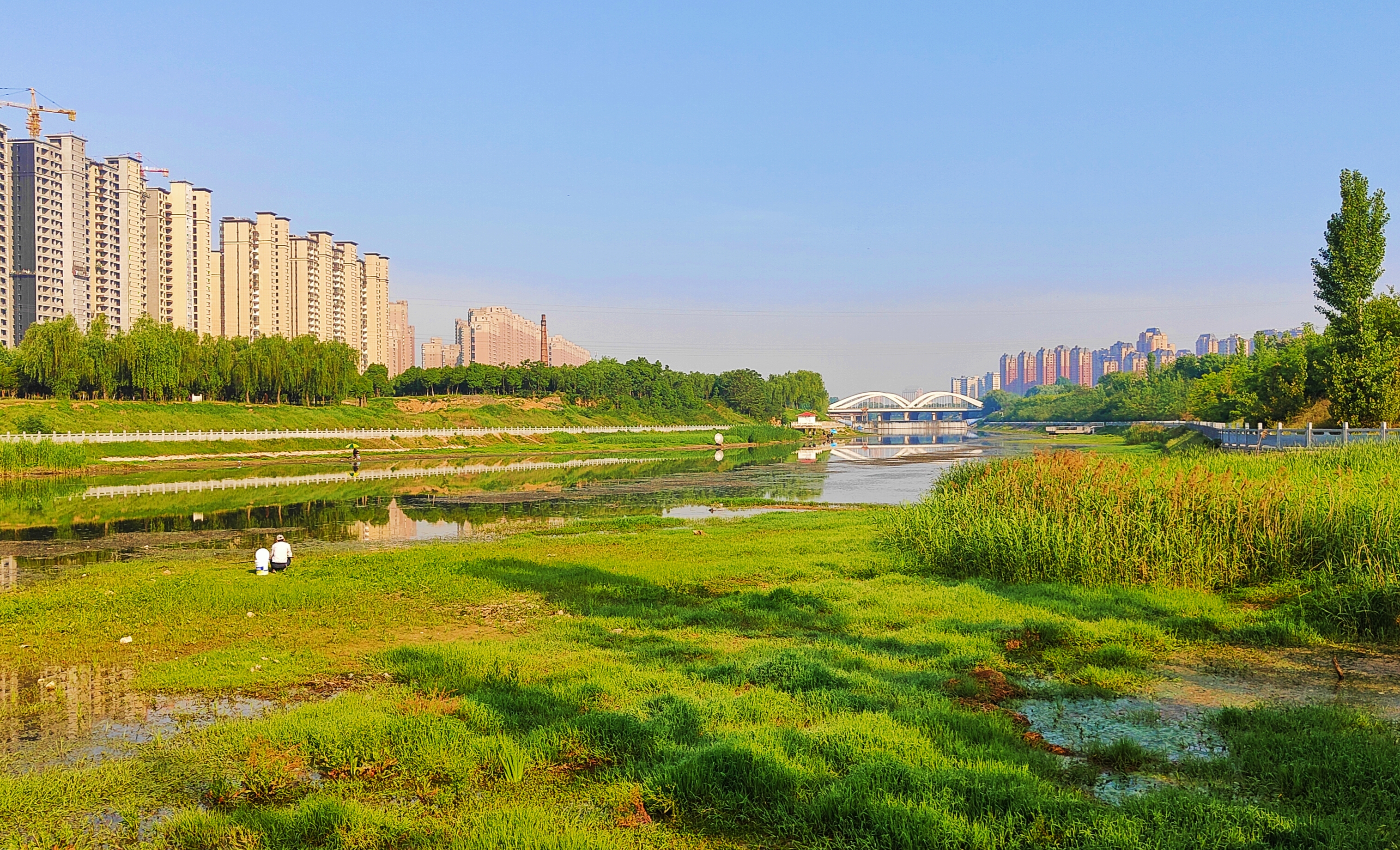河南禹州:暮春初夏风景美