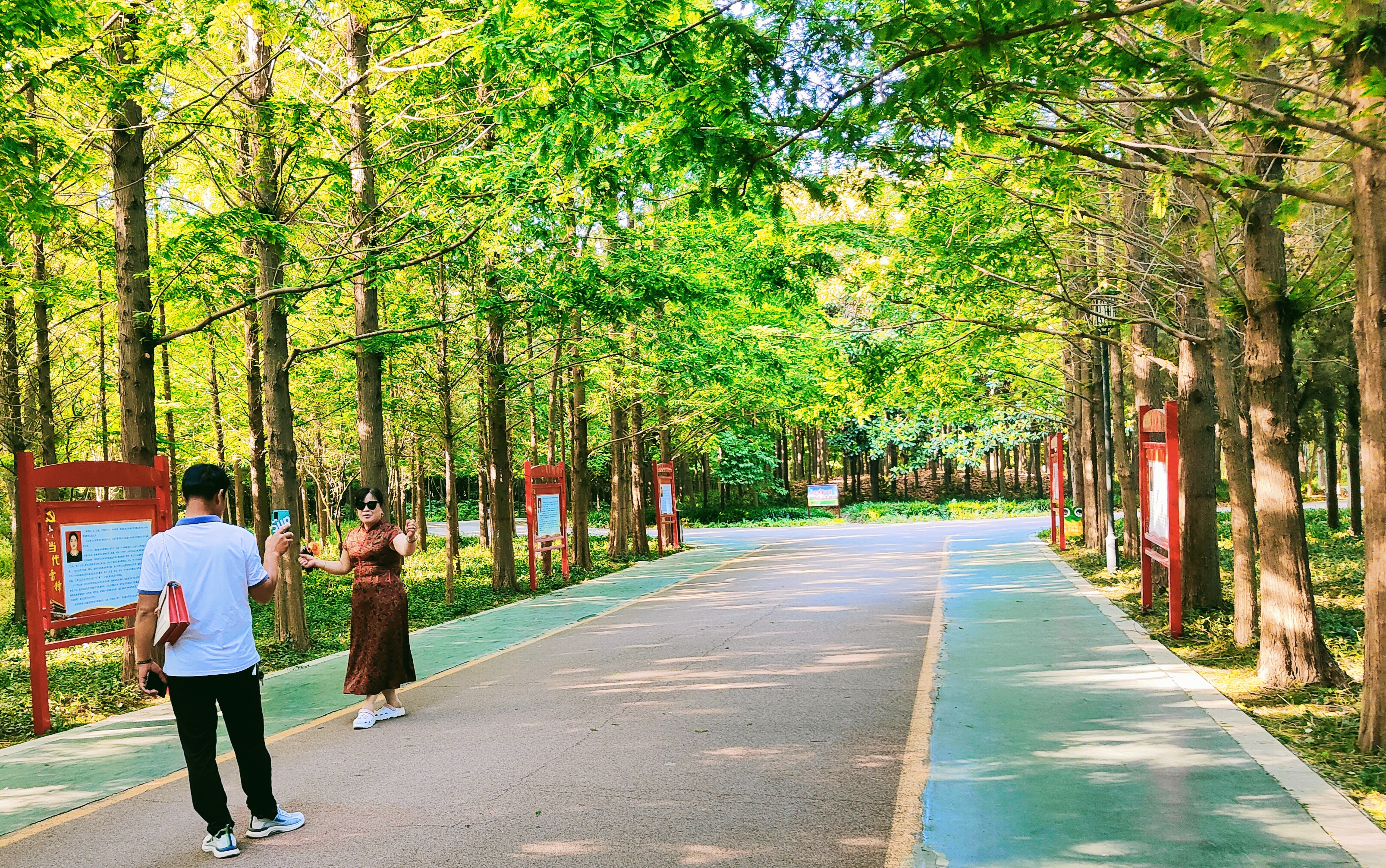 拍摄时间:2024年5月16日拍摄地点:禹州市森林植物园手机随拍:贺景昌