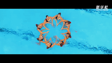 04.gif