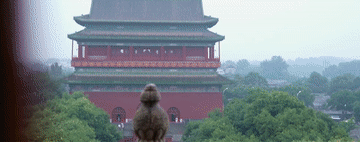04.gif