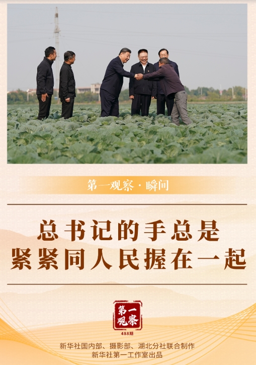 微信截图_20241106083535 01.png