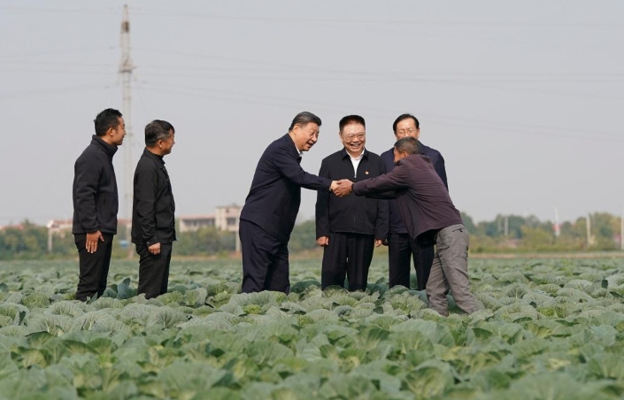 微信截图_20241106083603 02.png