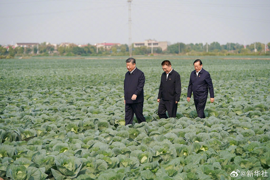 03.jpg