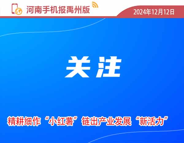 河南手机报12.12.jpg