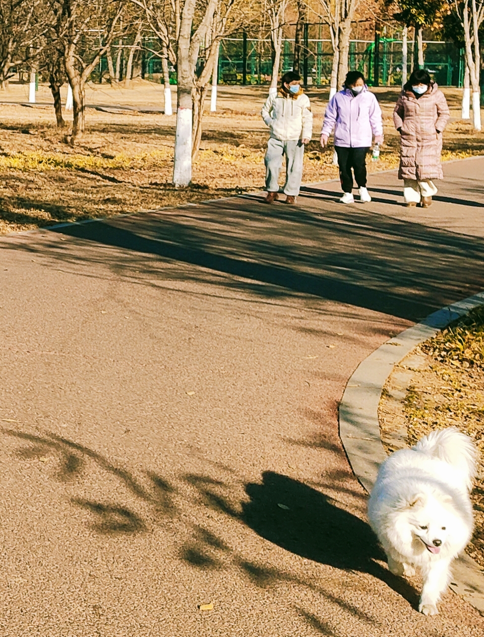 冬韵十7.jpg