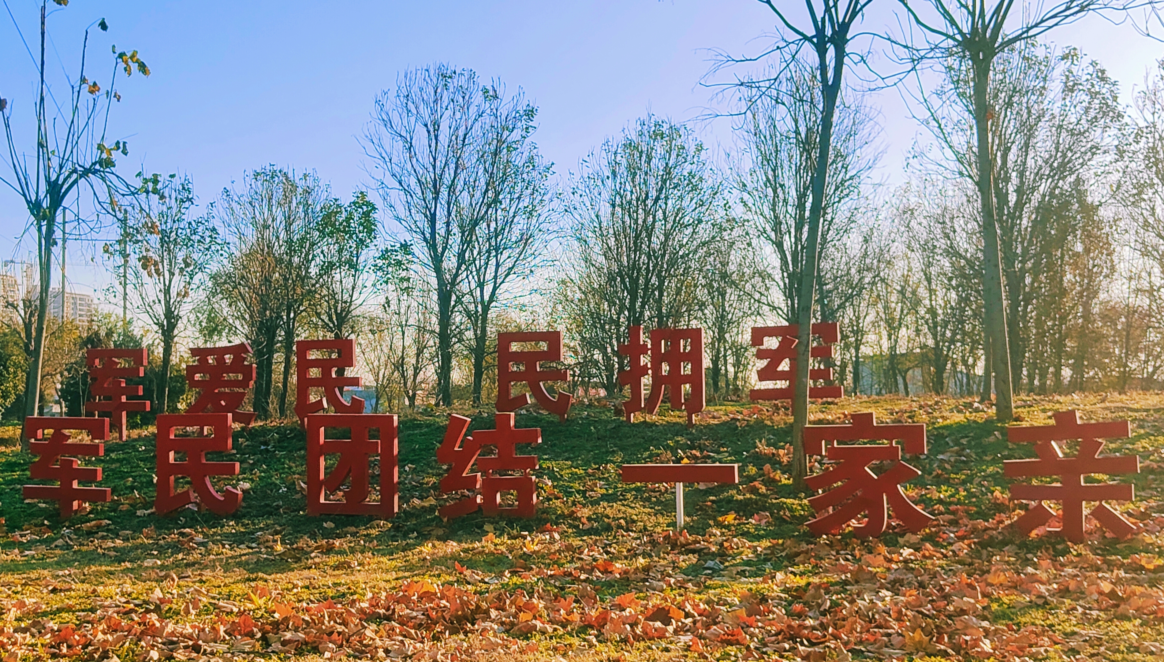 冬韵十27.jpg
