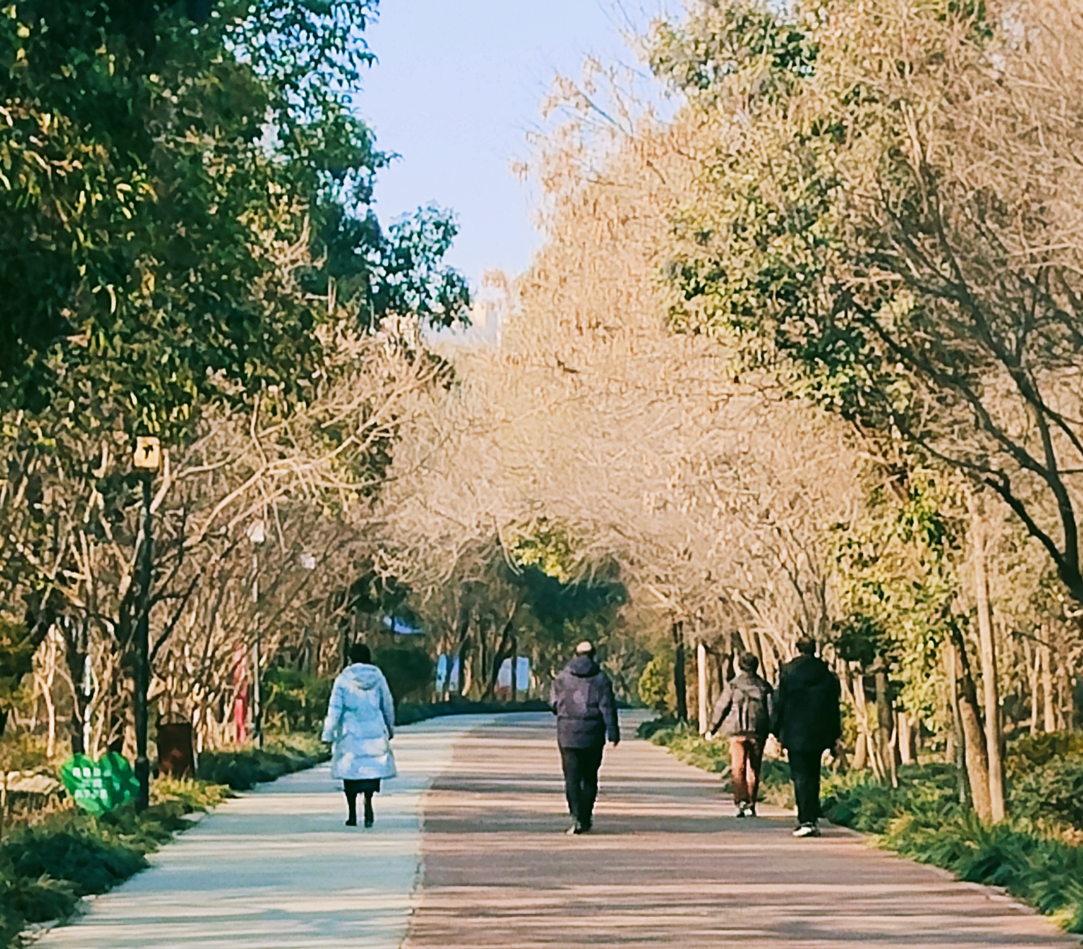 禹州森林植物园地图图片