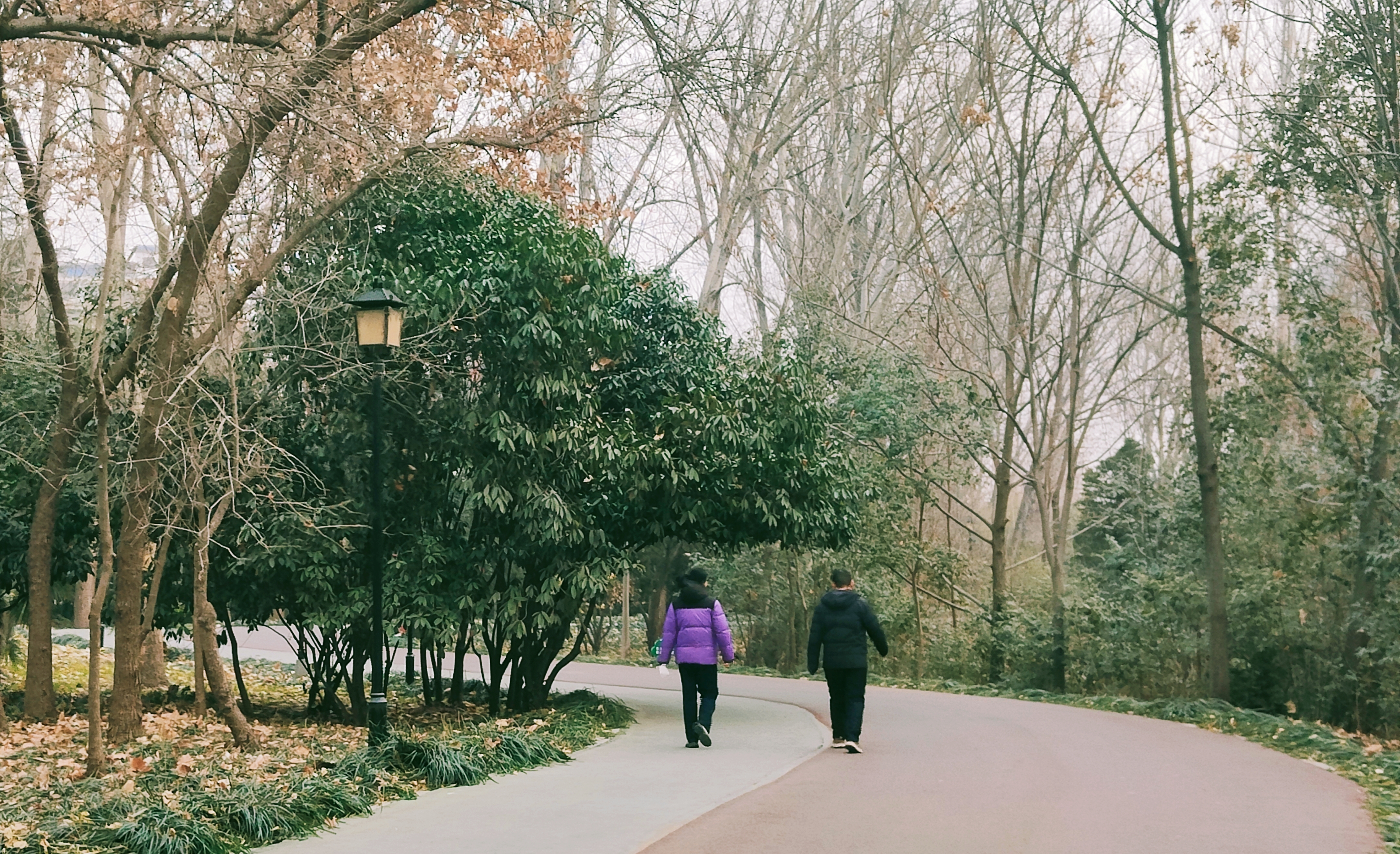 美人鱼3.jpg